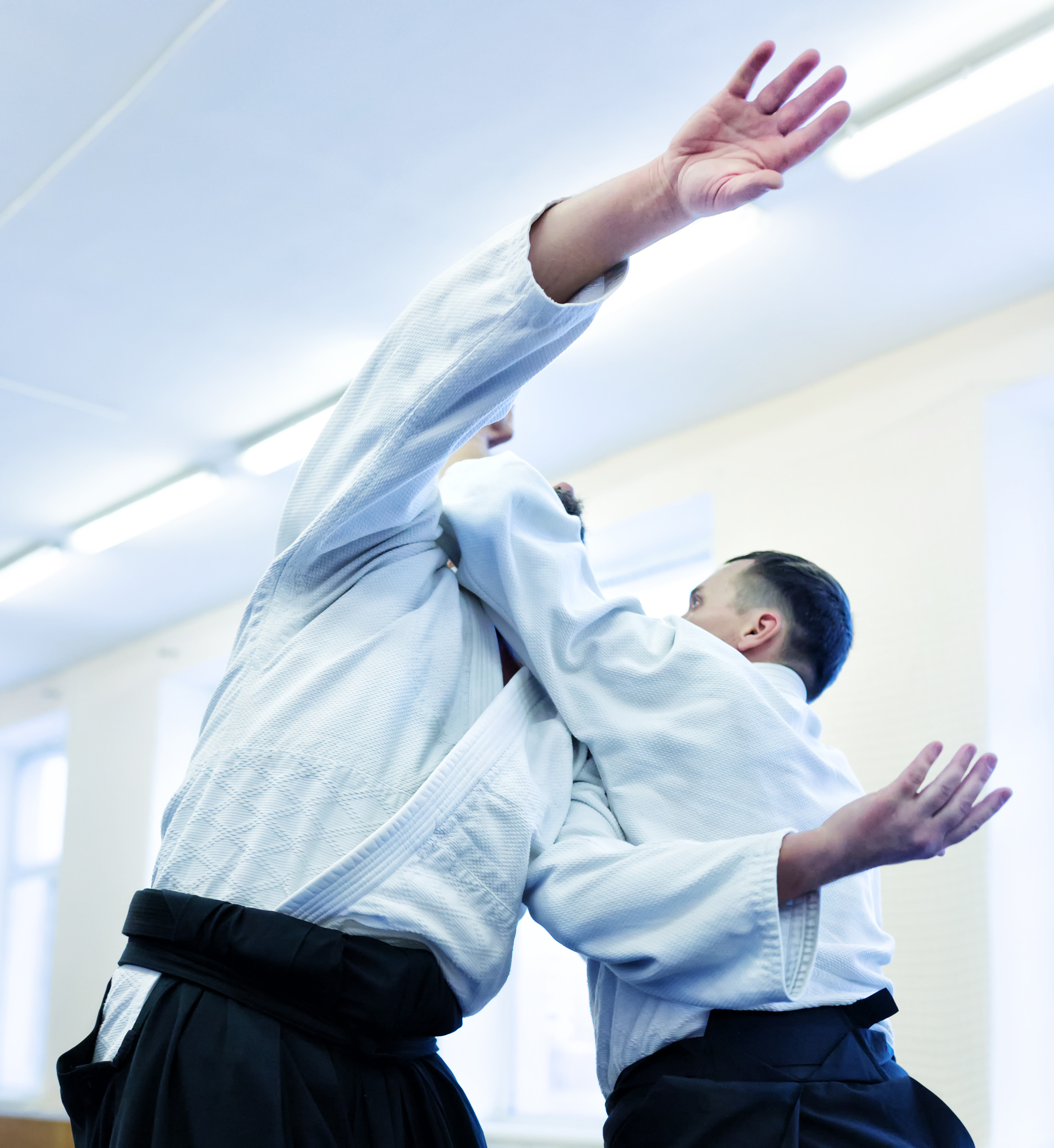 Группа айкидо занятия. Балетный фотограф Москва Майоров Николай