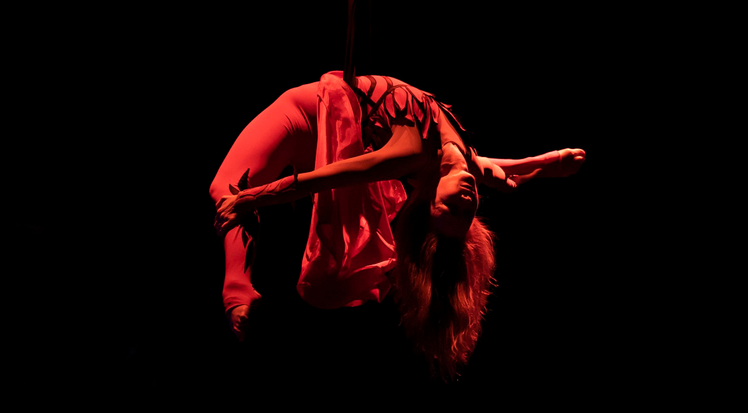 Гимнастки на шоу Москвариума. Балетный фотограф Москва Майоров Николай