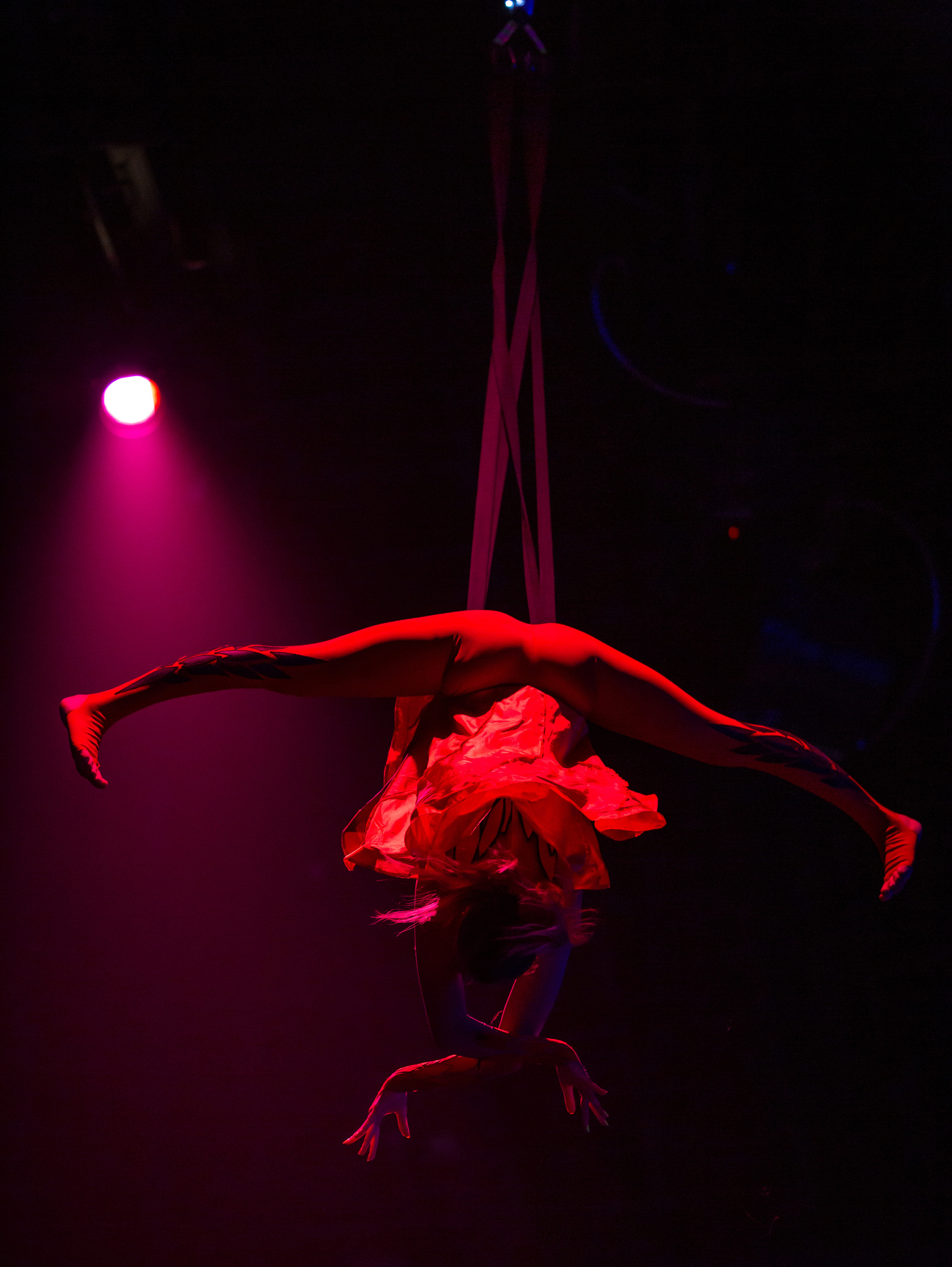 Гимнастки на шоу Москвариума. Балетный фотограф Москва Майоров Николай