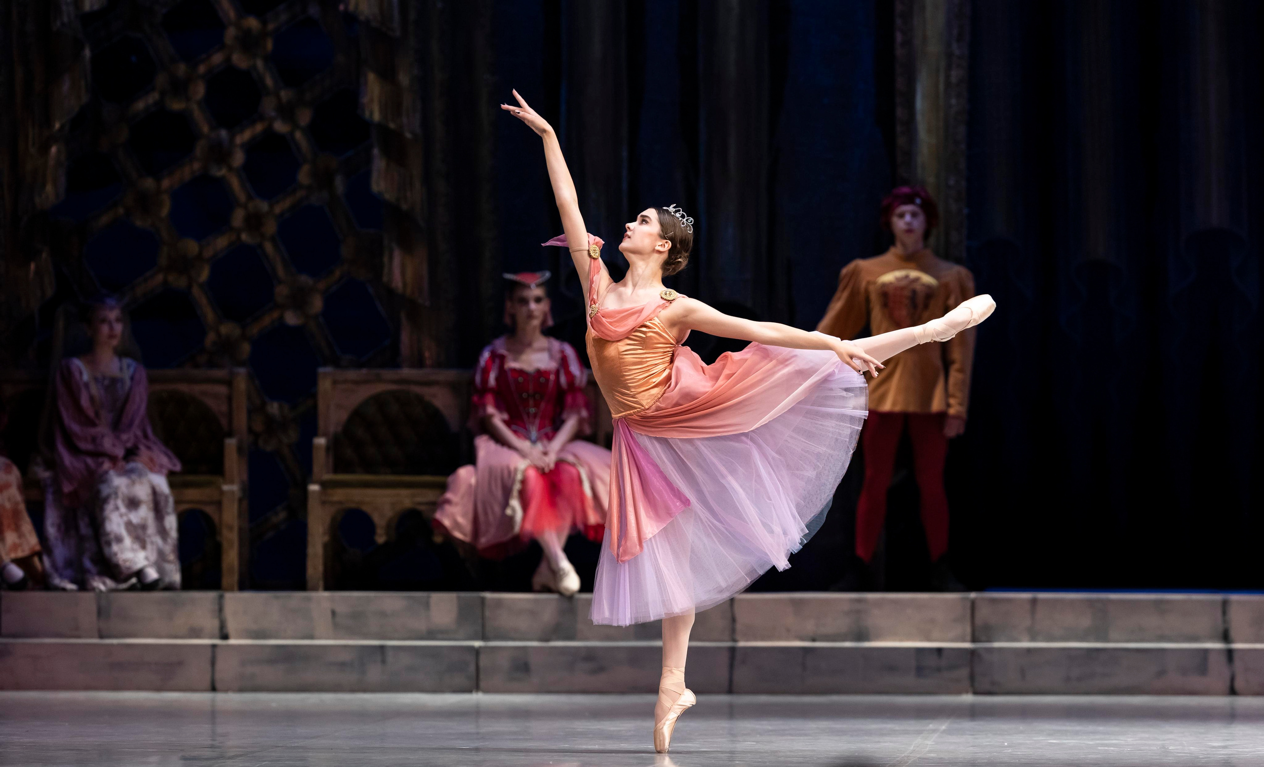 балет, летние балетные сезоны, театр САЦ, лебединое озеро, балерина