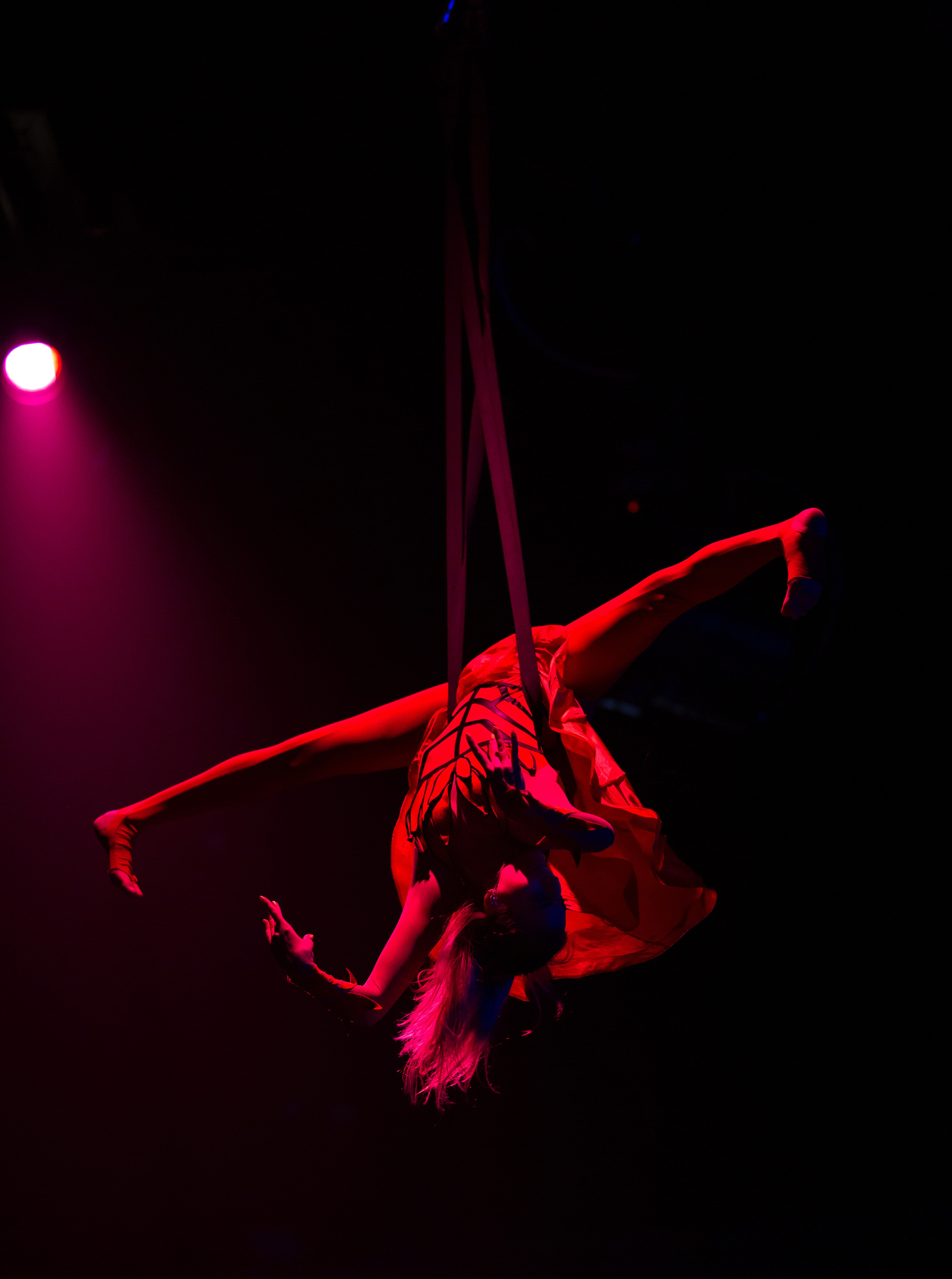 Гимнастки на шоу Москвариума. Балетный фотограф Москва Майоров Николай