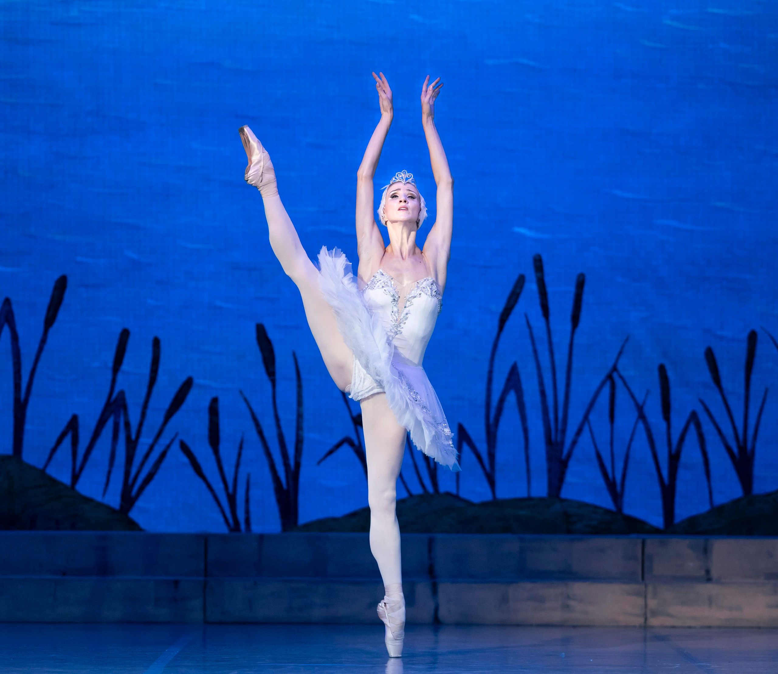 балет, летние балетные сезоны, театр САЦ, лебединое озеро, балерина