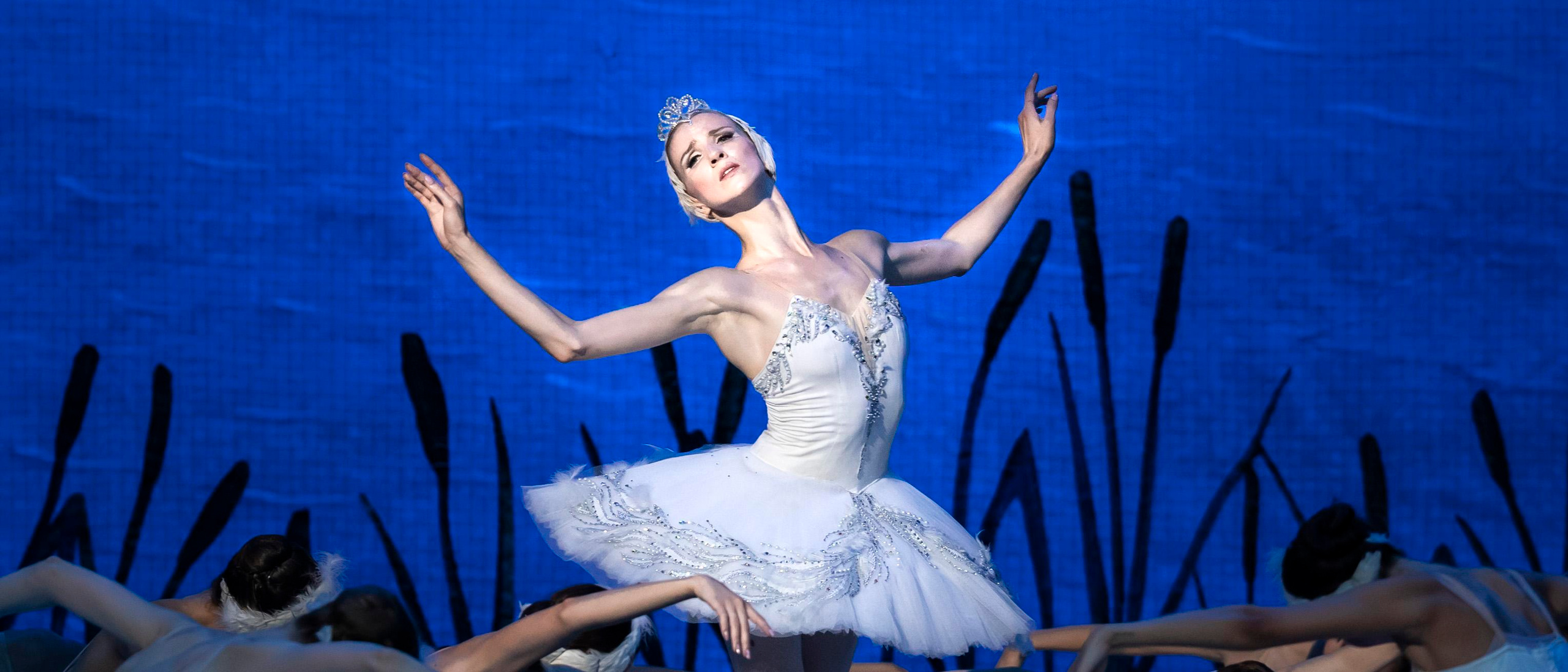балет, летние балетные сезоны, театр САЦ, лебединое озеро, балерина