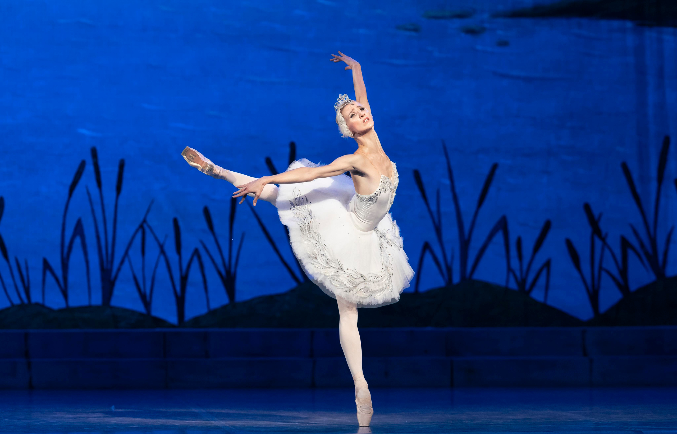 балет, летние балетные сезоны, театр САЦ, лебединое озеро, балерина