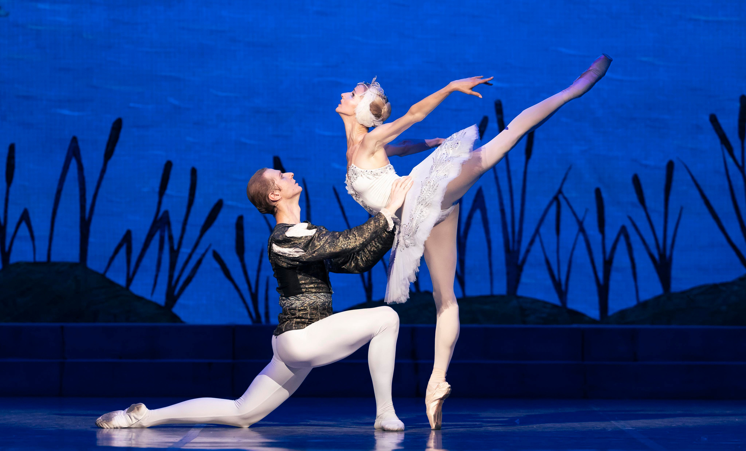 балет, летние балетные сезоны, театр САЦ, лебединое озеро, балерина