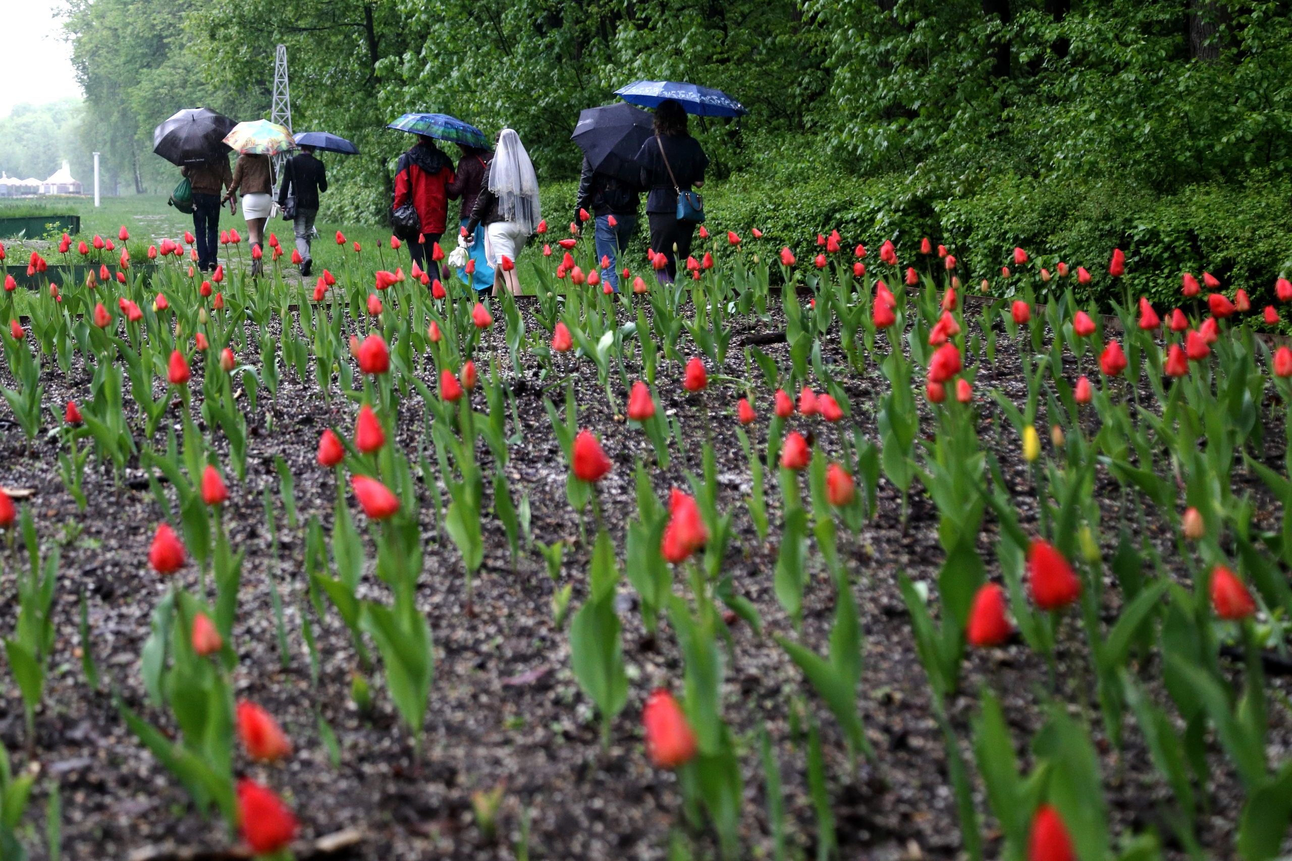 Роберт и Катя. Фотограф Лагутин Анатолий