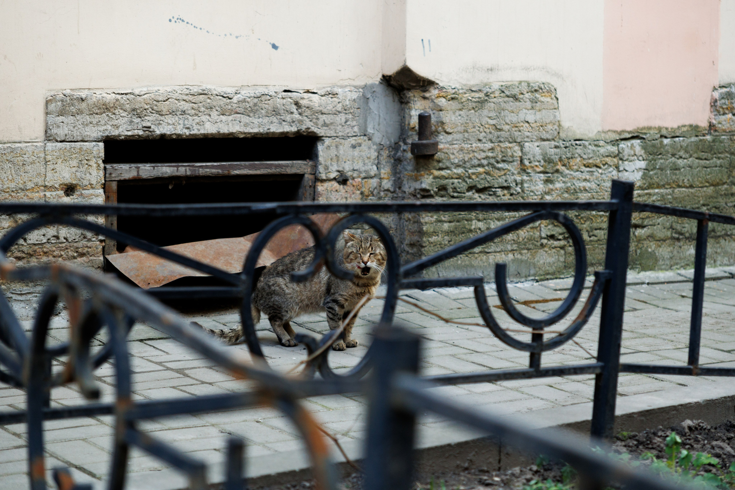 Уличная фотография. Репортажный фотограф в СПб