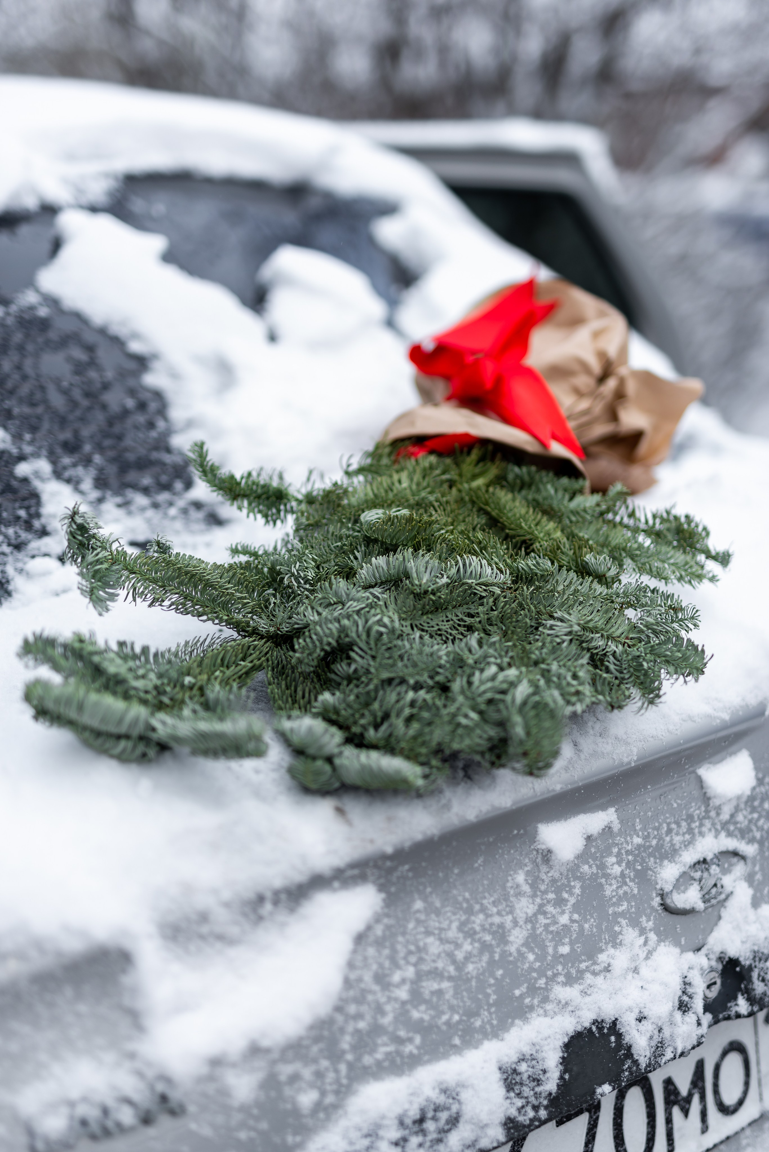 Новогодняя фотосессия в горячем ключе. Свадебный фотограф в Горячем Ключе Смирнова Дина