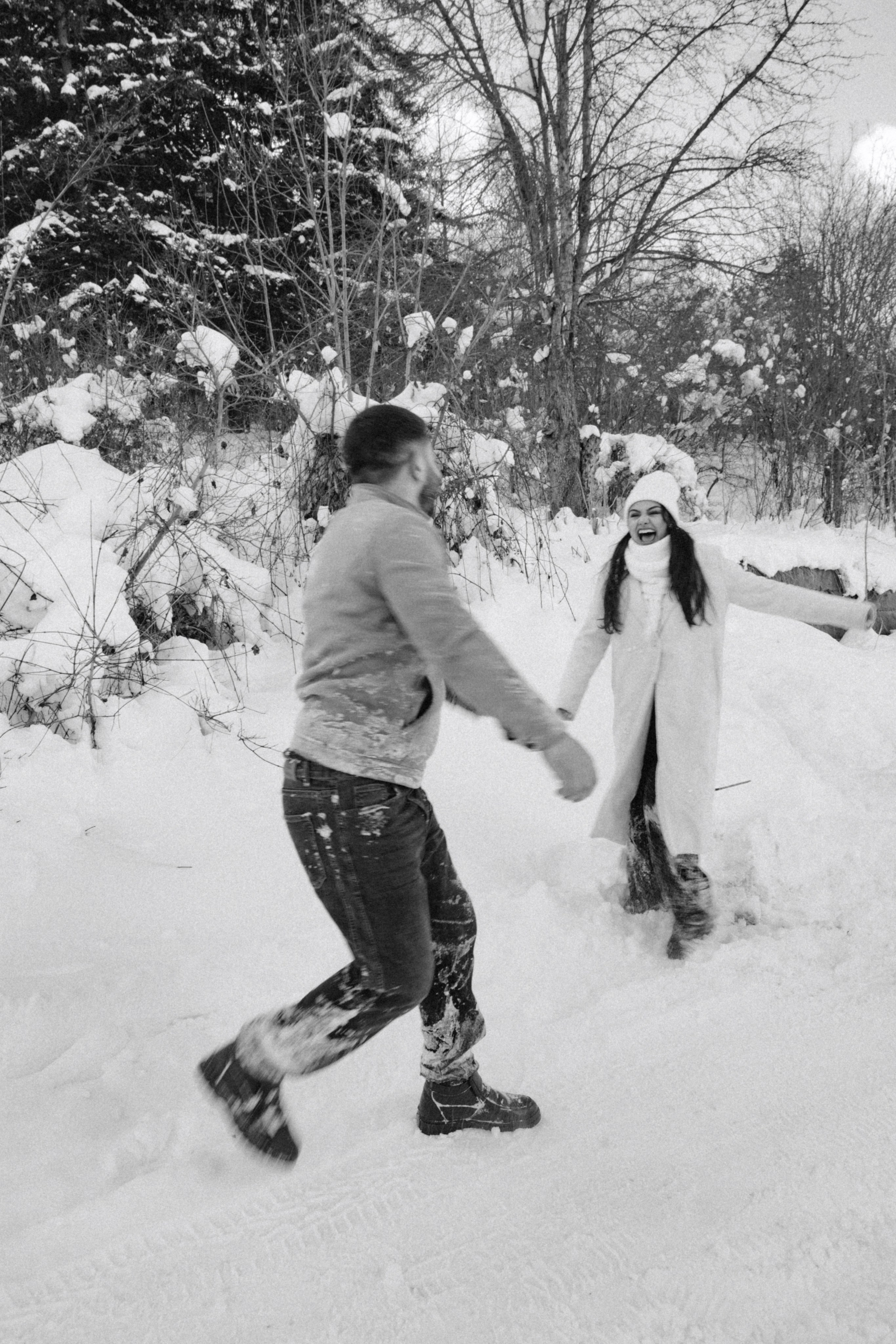Снежинки. Գլխավոր
