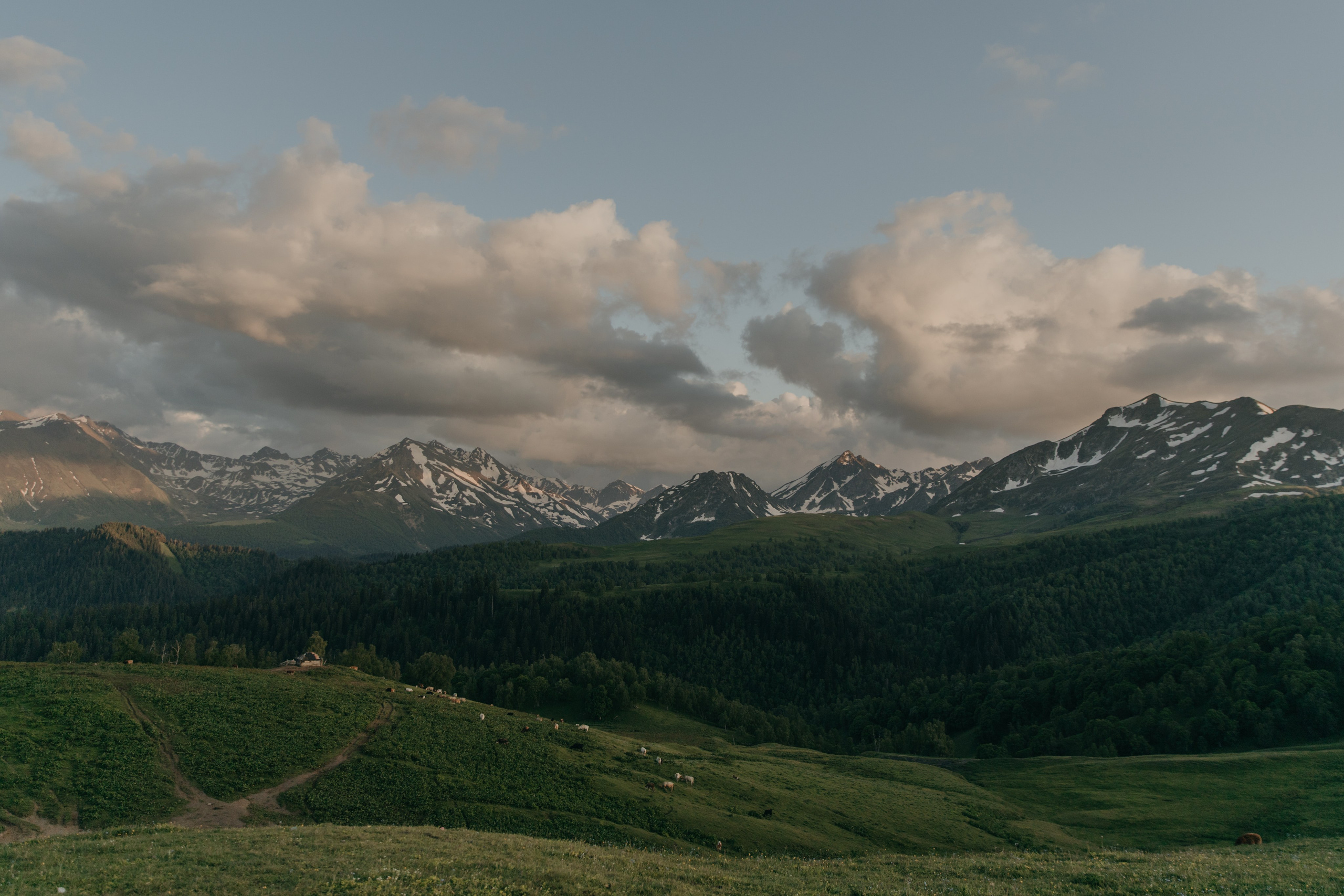 Дарья ღ Роман. Портфолио