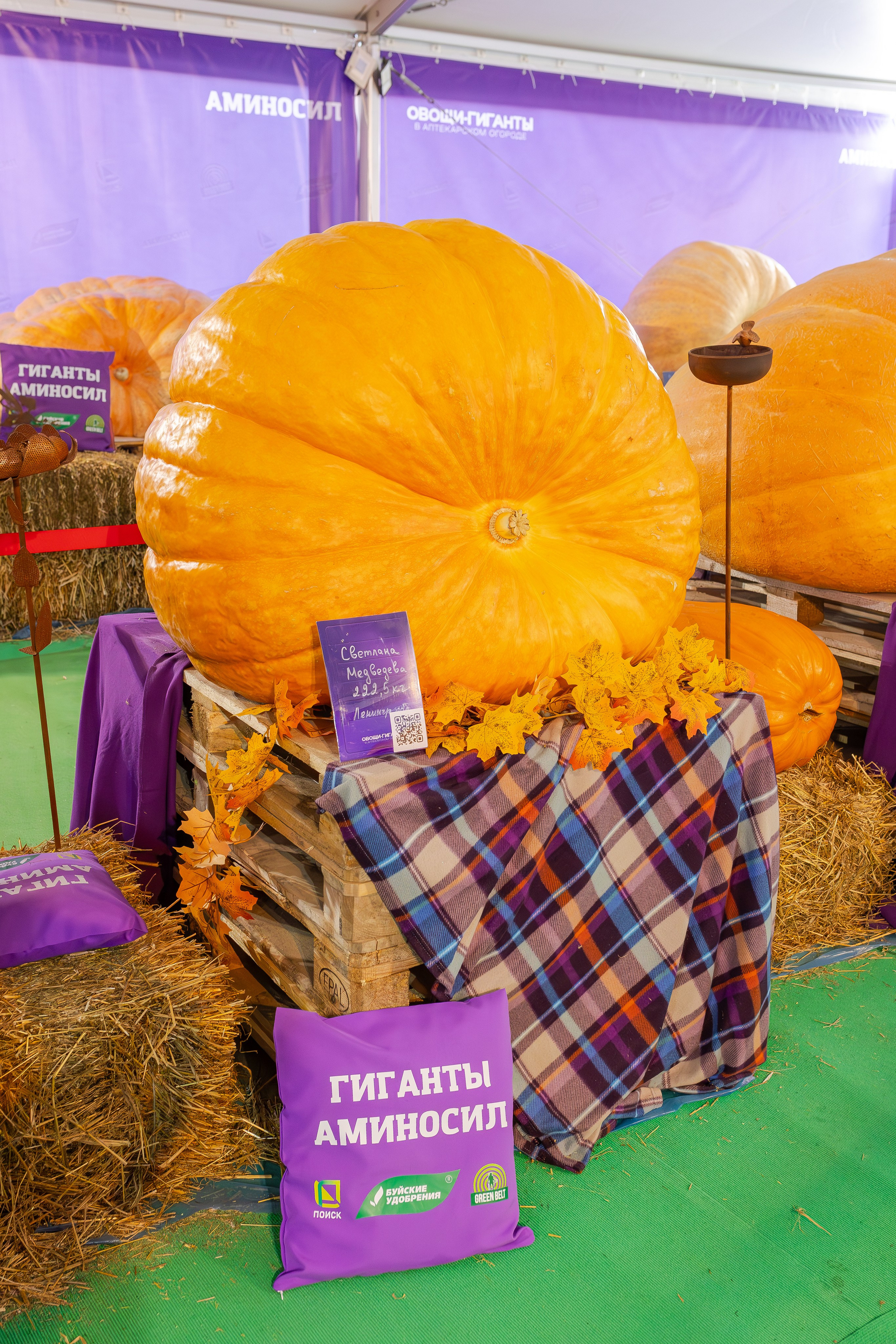 Овощи-гиганты. Александра Куликова фотограф, Москва