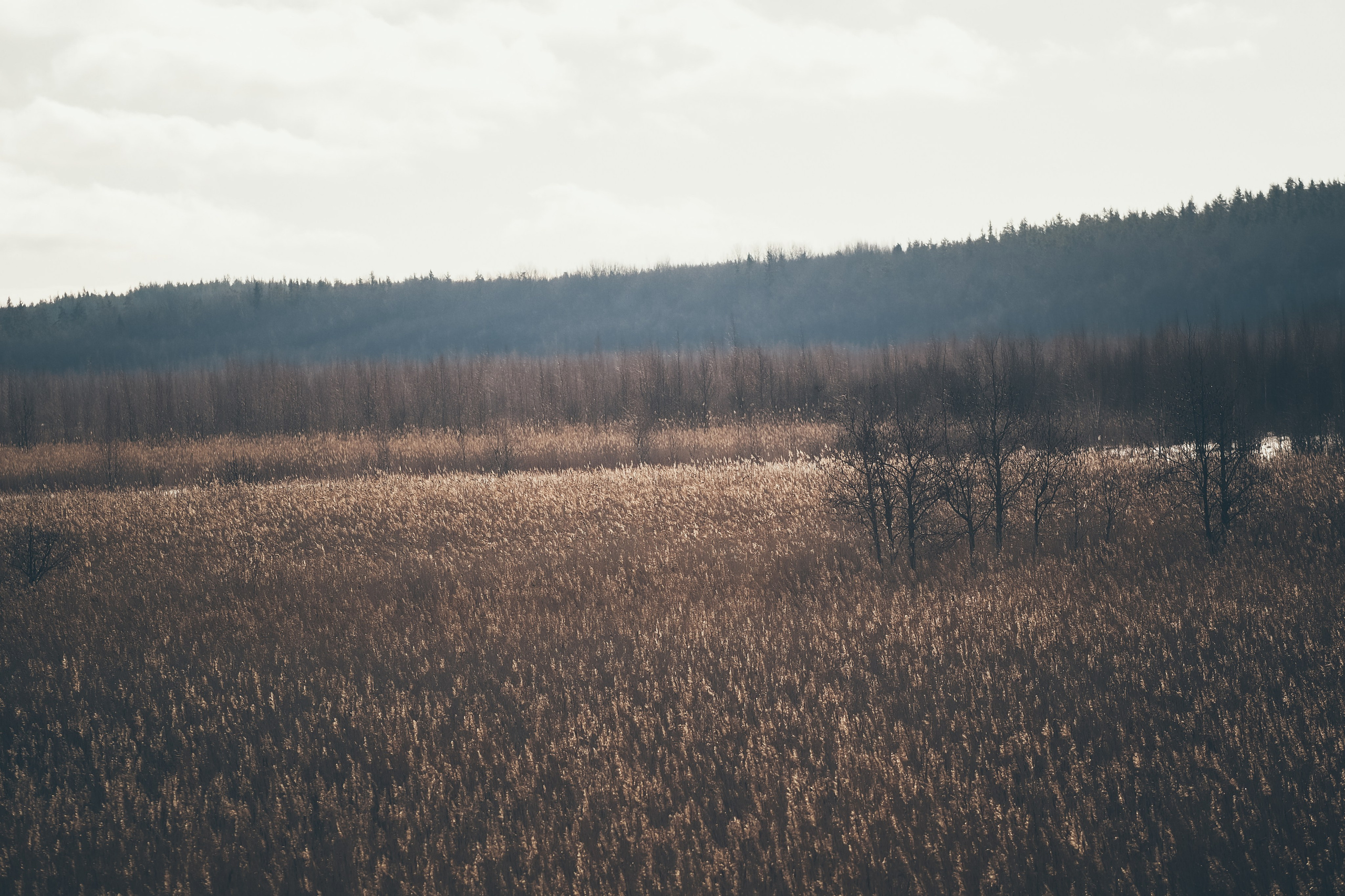 Раковые озера. Свадебный фотограф Копков Геннадий