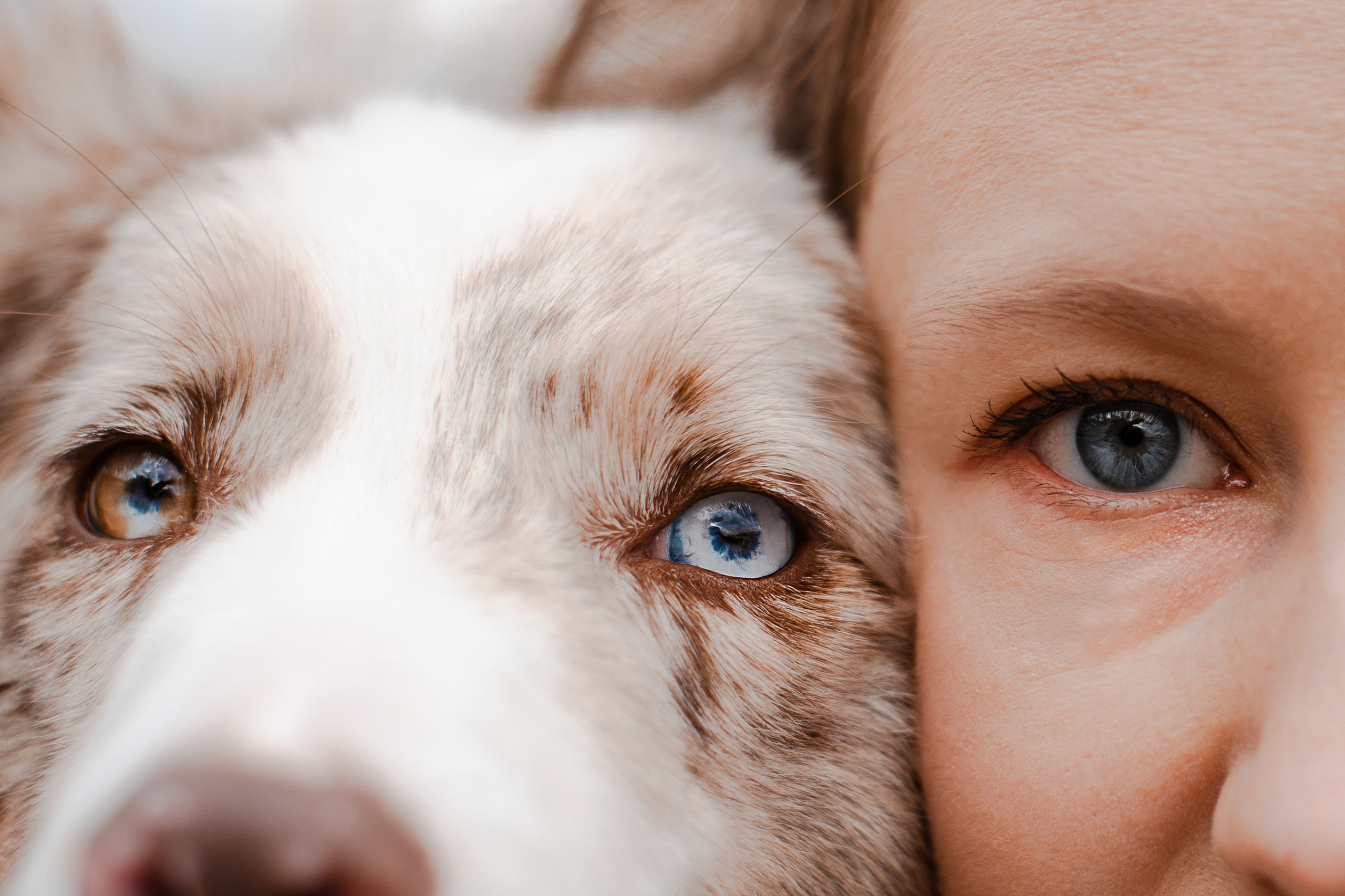 Мария и Утопия. Фотограф-анималист Мария Баркевич | Москва