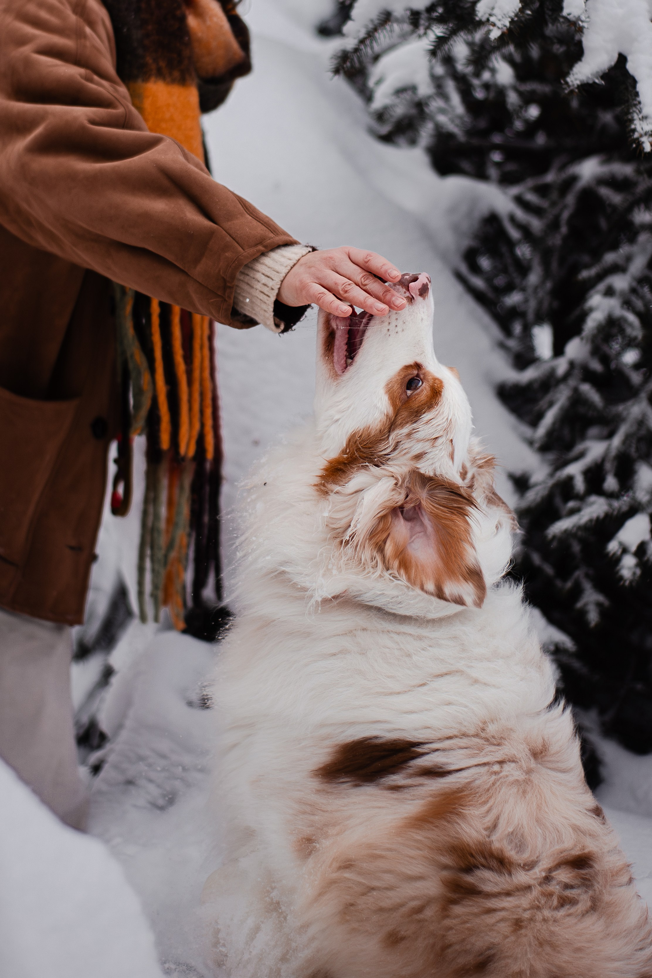 Юля и Ума. Фотограф-анималист Мария Баркевич | Москва