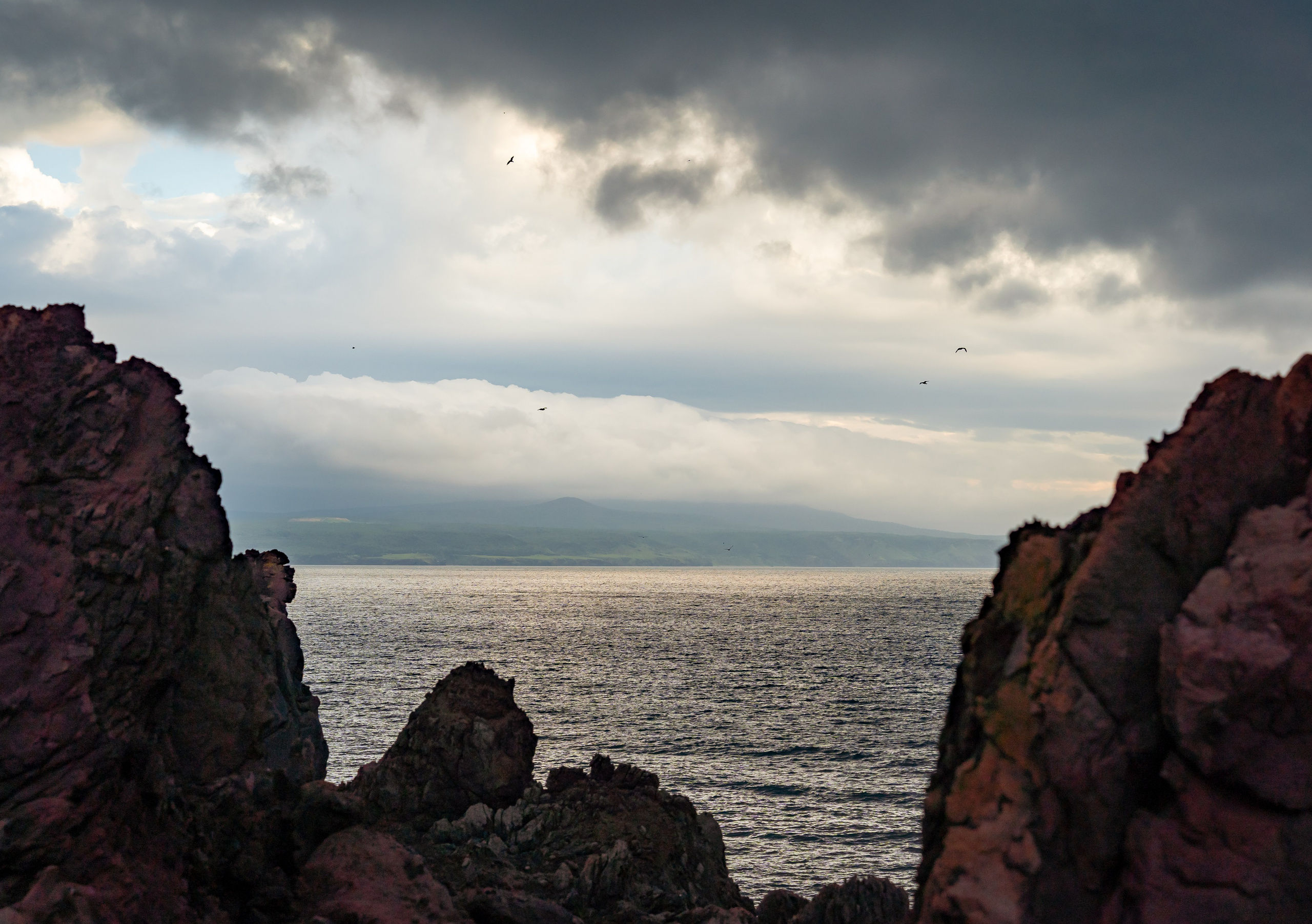 Итуруп. Семейный фотограф Варвара Сорока в городе Москве