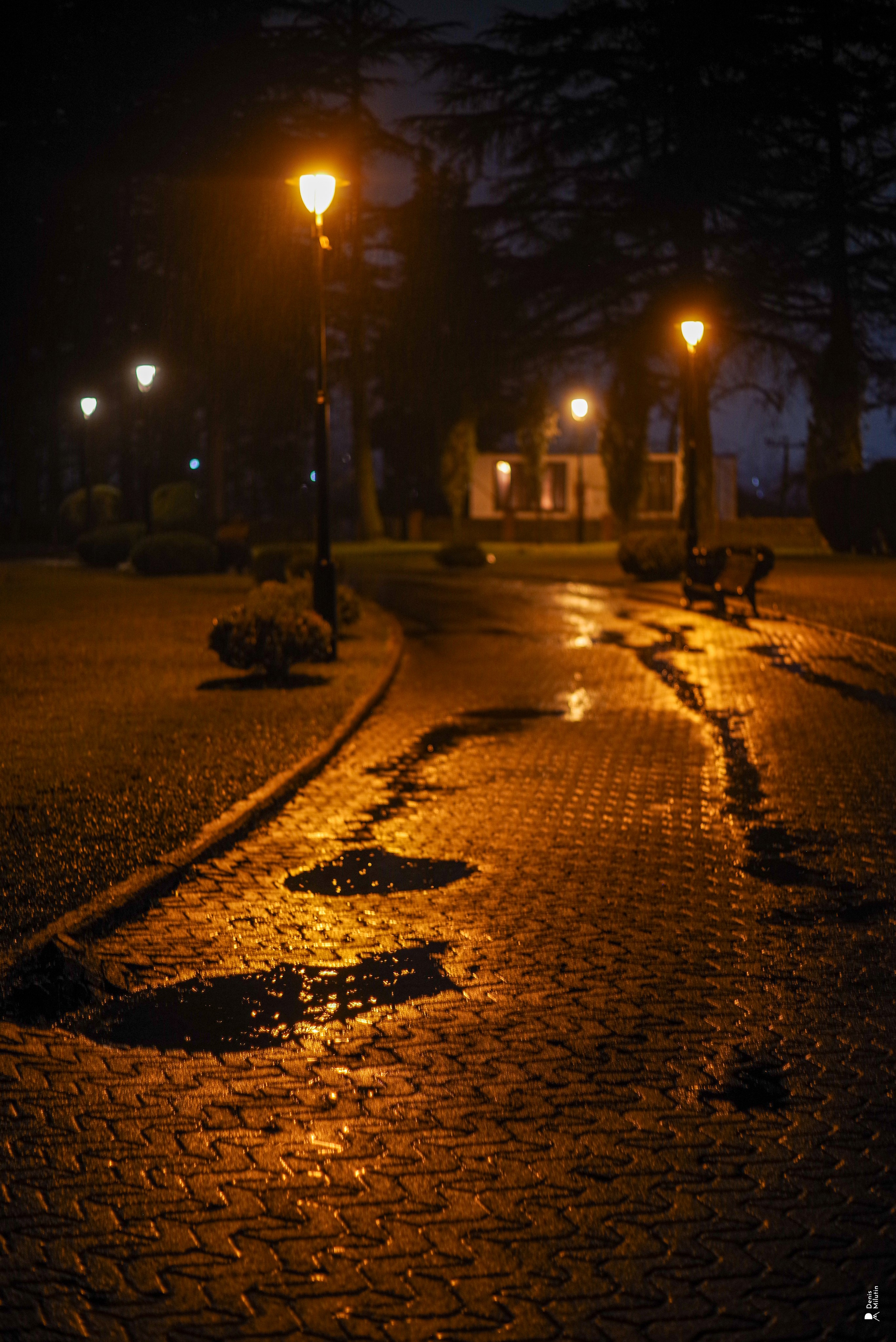 Зугдиди. Портретный фотограф Денис Милютин