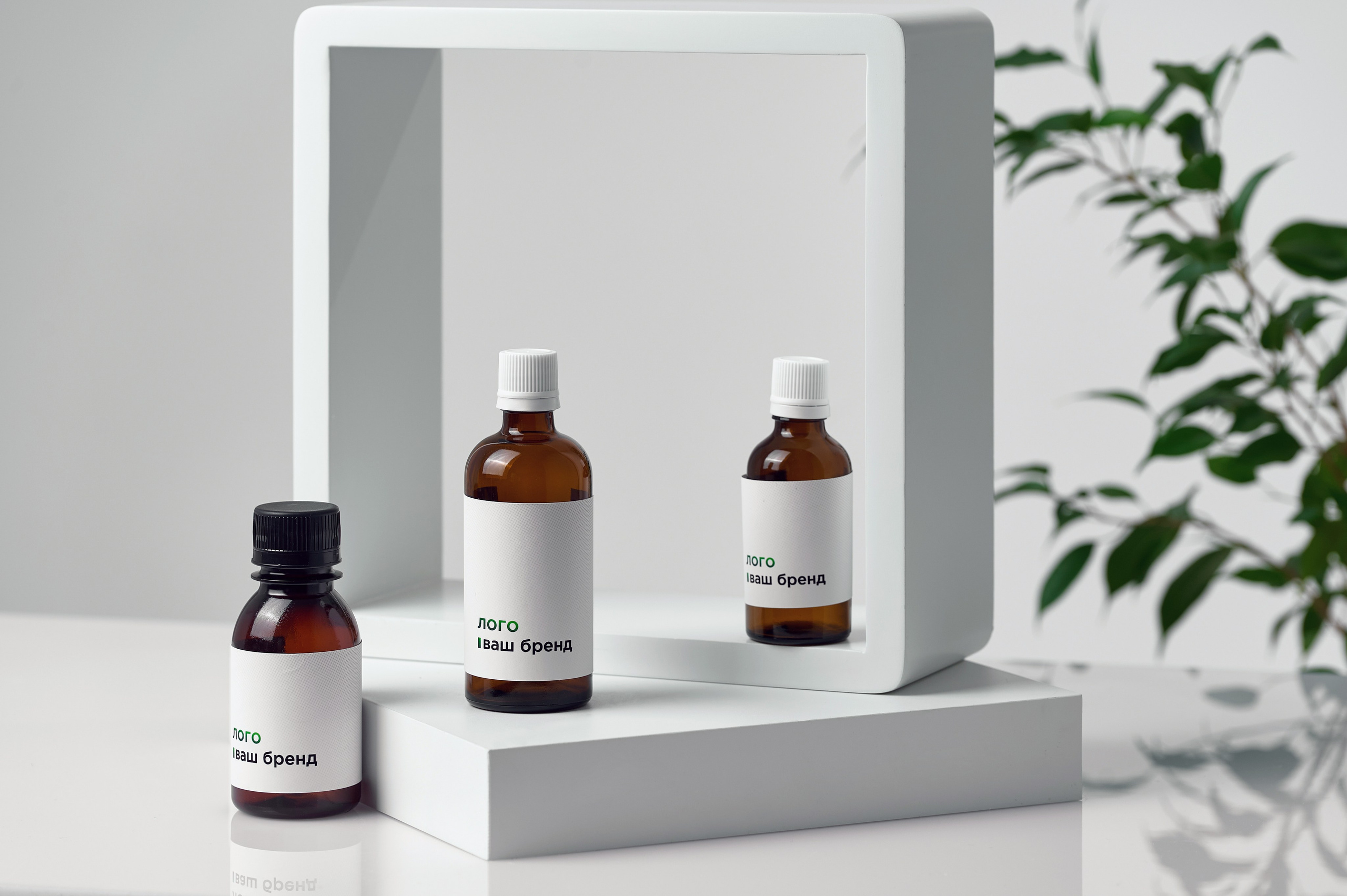 Бады дизайн. Фотограф Опыт Качество Скорость Горный Алтай Барнаул