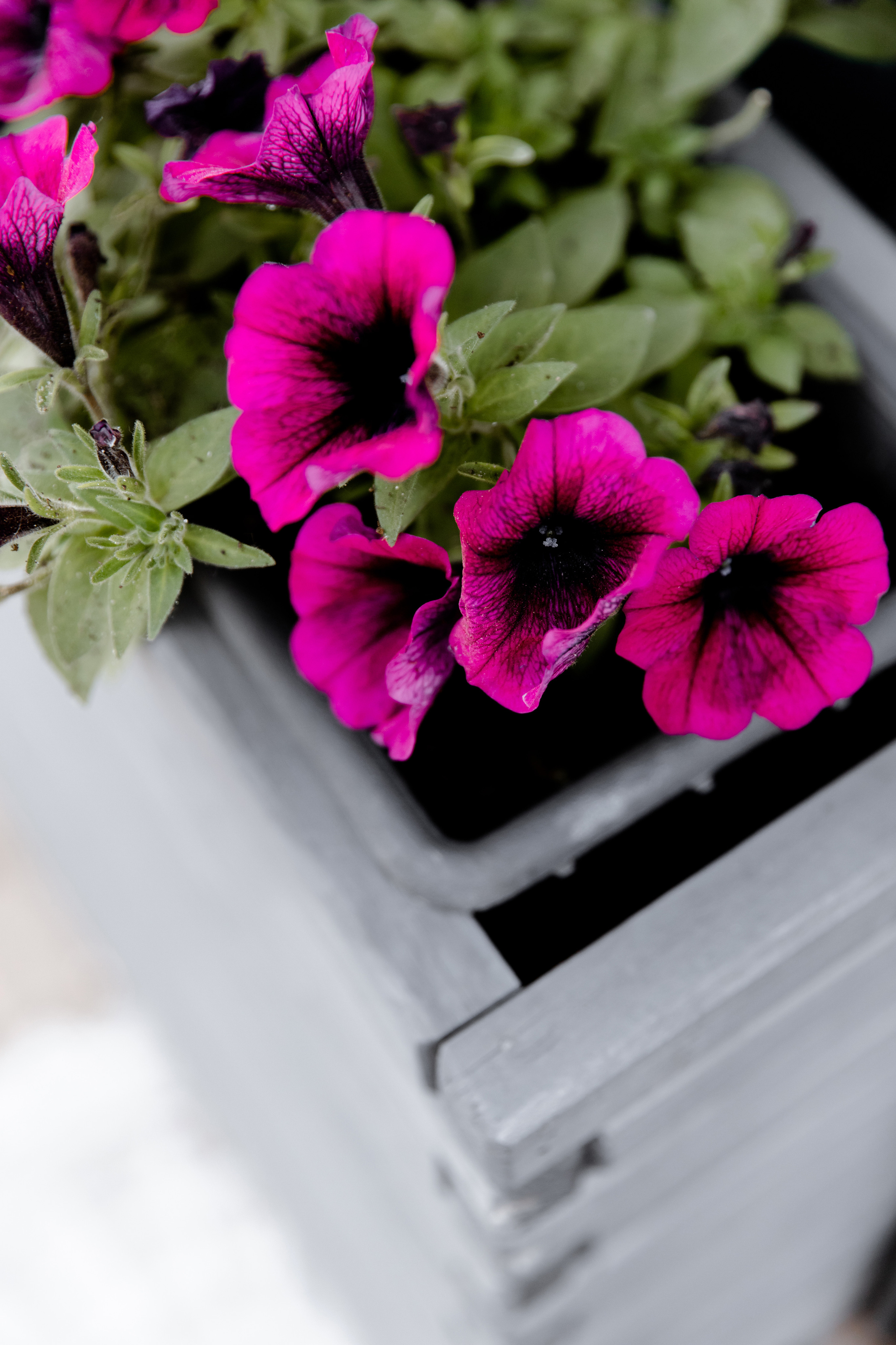 Свадебный день Сергея и Иры. Свадебный фотограф Анна Бабахина