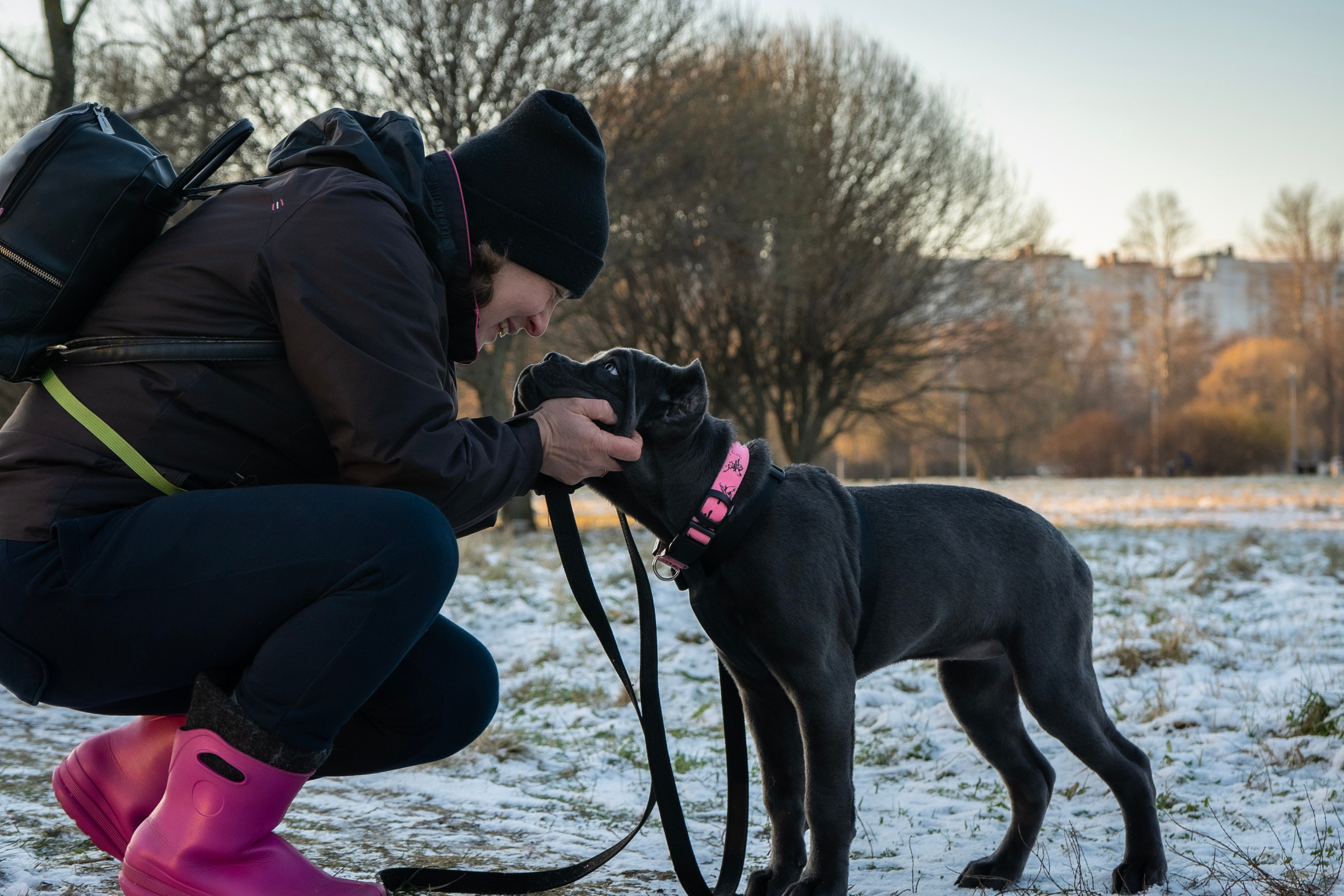 Фотосессии Пушистиков. Фотограф в Санкт-Петербурге Виктория Барышникова