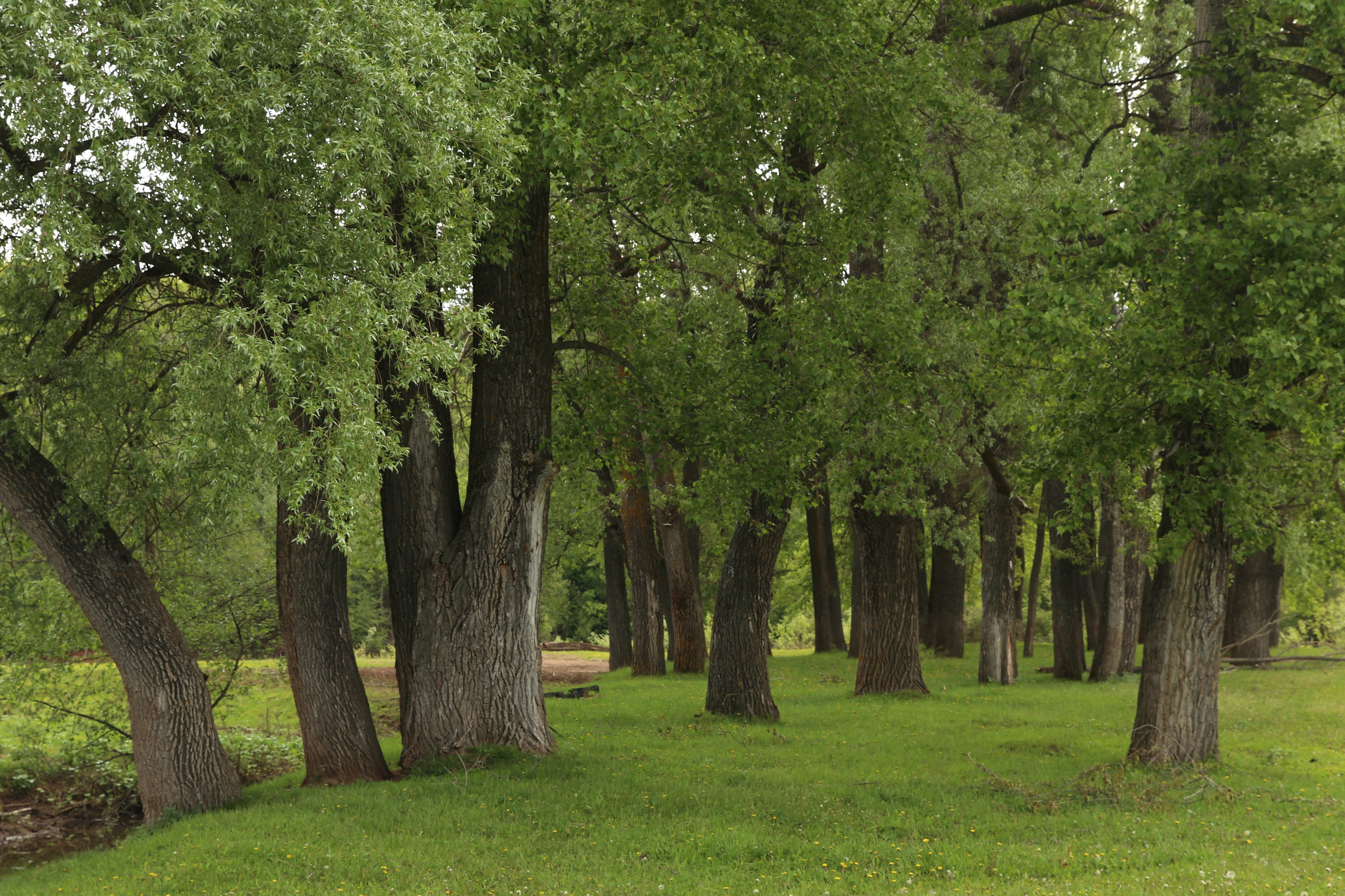 Велопоход Уфа — Мелеуз. Май 2024. Путешественник-фотограф из Санкт-Петербурга Татьяна Свистулина