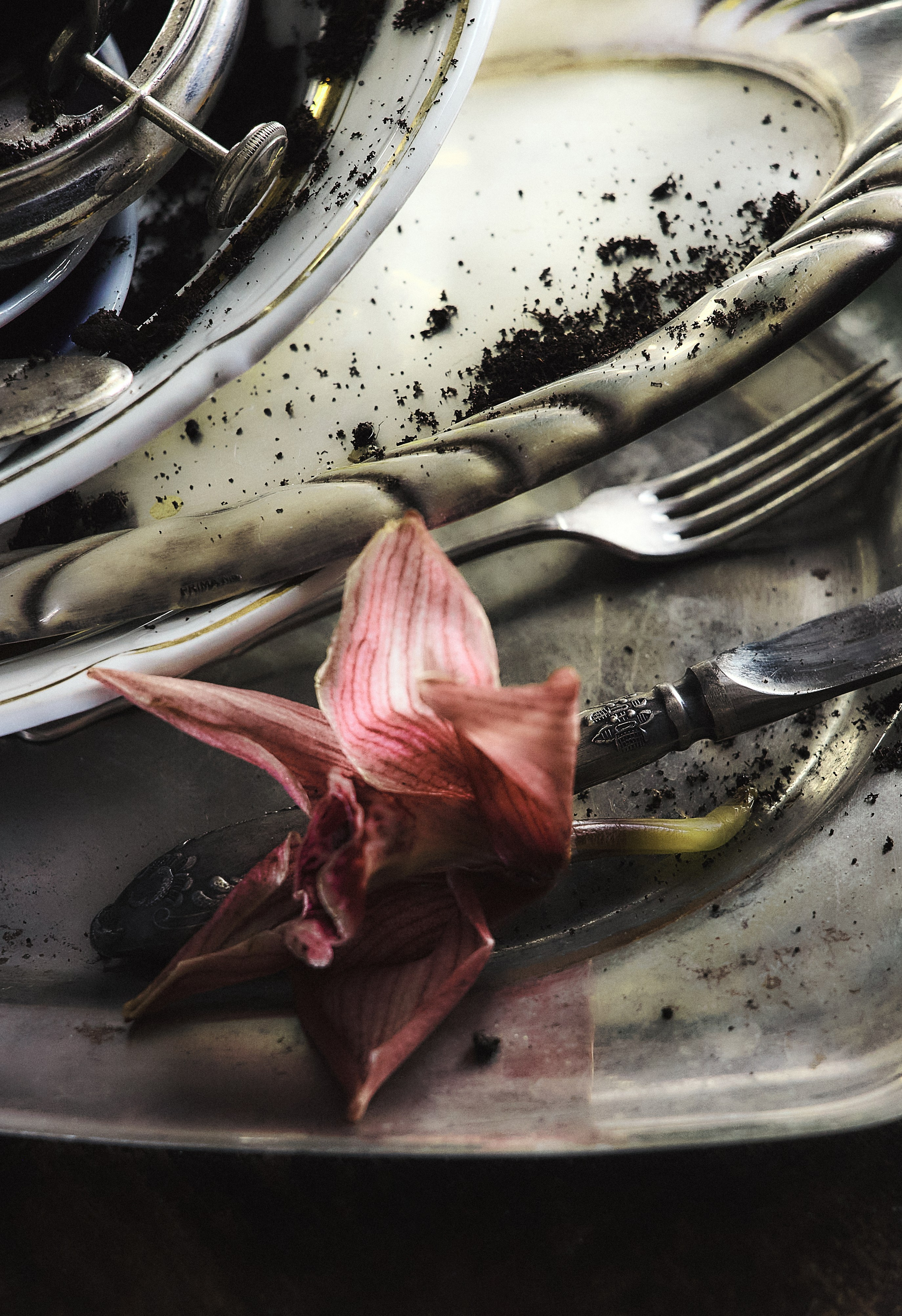 Фотограф Анна Фокина