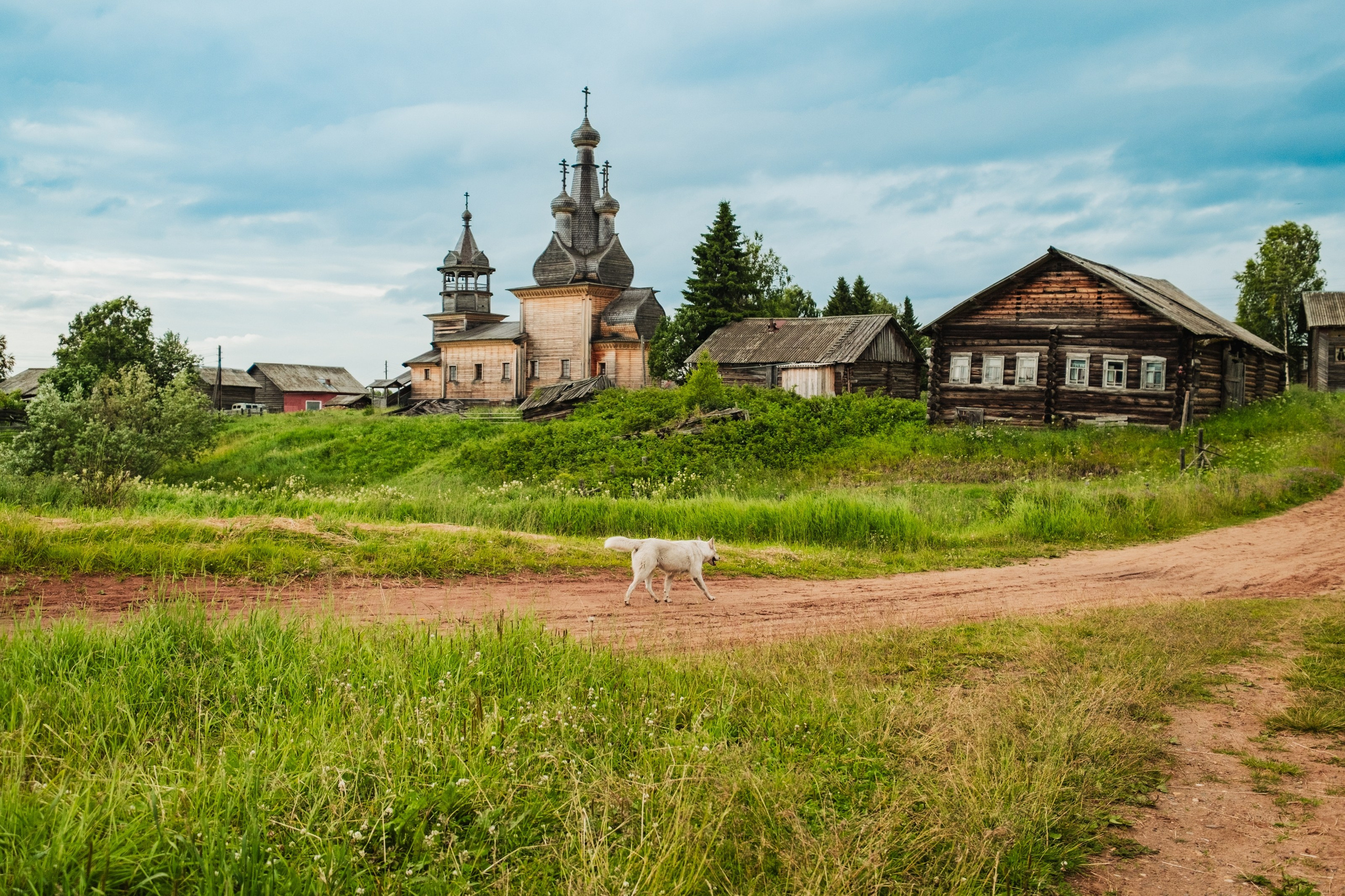 Пинежье. Июль 2026 г. Портретный, репортажный и пейзажный фотограф в Москве Сергей Арест