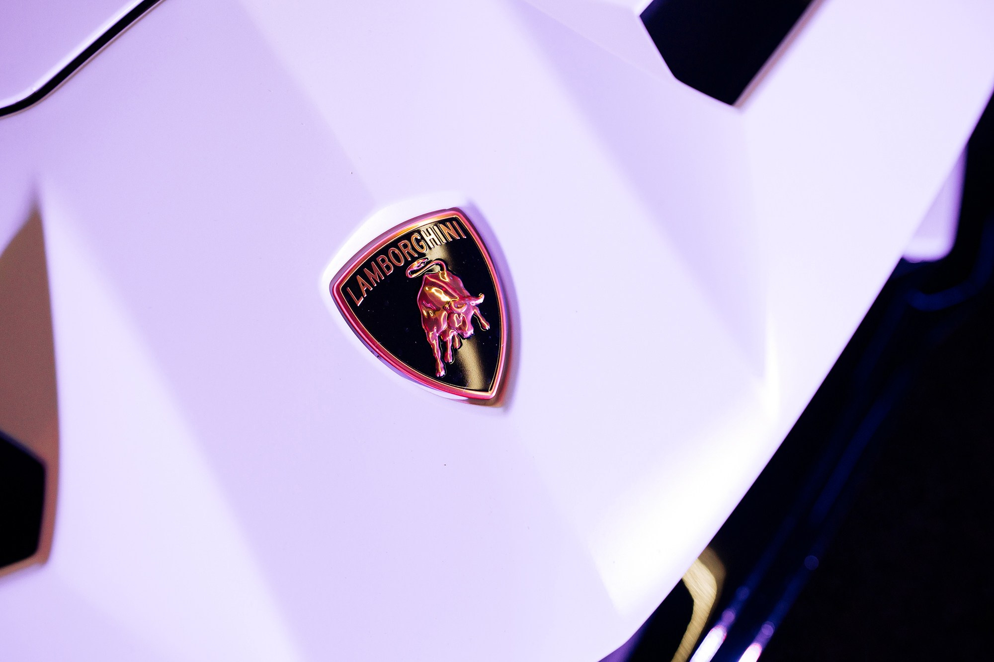 репортажный фотограф в краснодаре