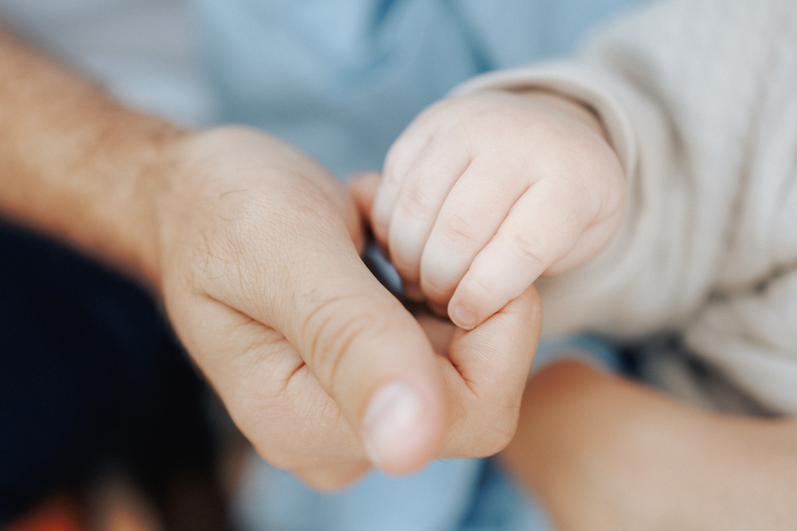 Александр, Нелли и Кира. Семейный, репортажный, свадебный фотограф в Краснодаре Артур Александрин