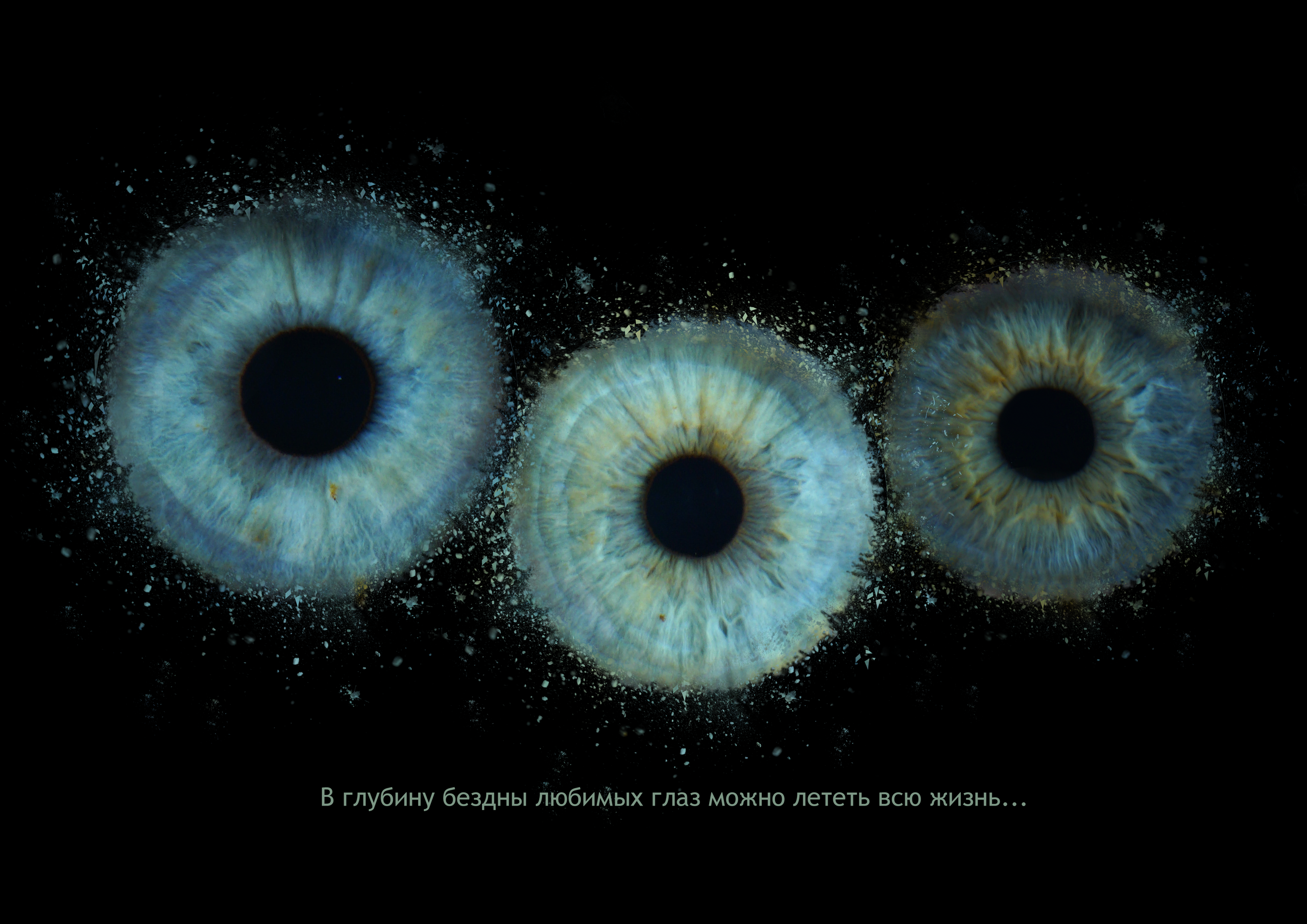 Наталья 11021630. ShowLab