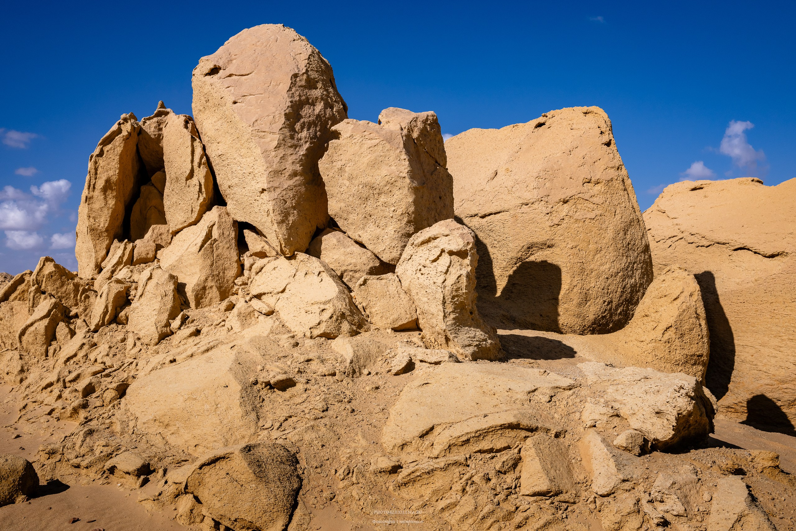 Снова в пустыню, за скелетами…. Авторские стильные фотокартины