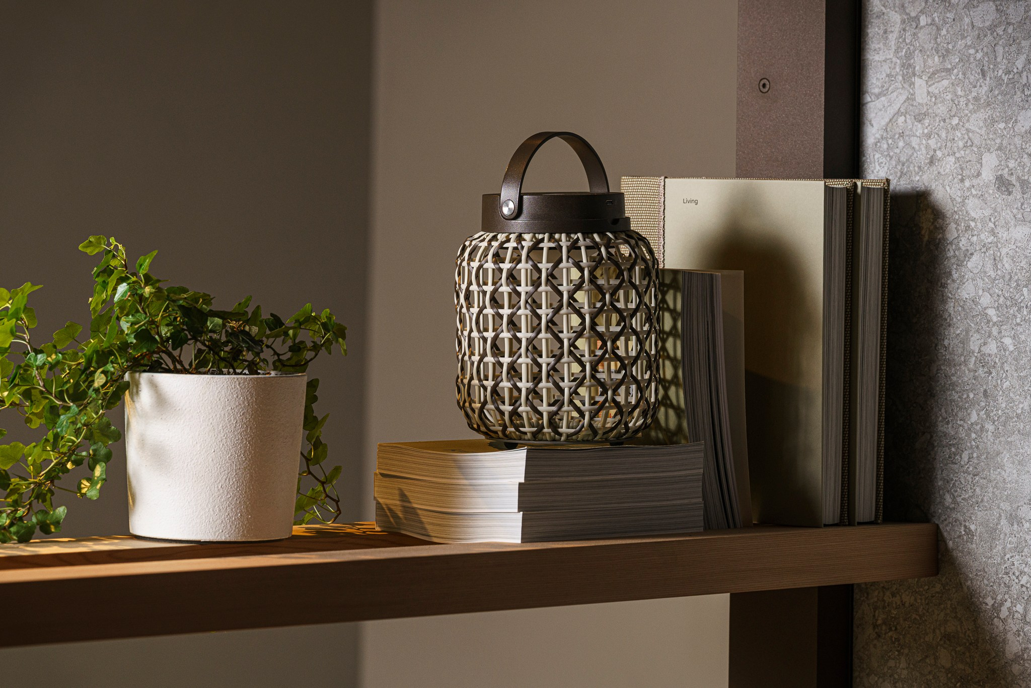 Трио Интерьер 2025 (пр-т Жукова). Фотограф Василий Буланов