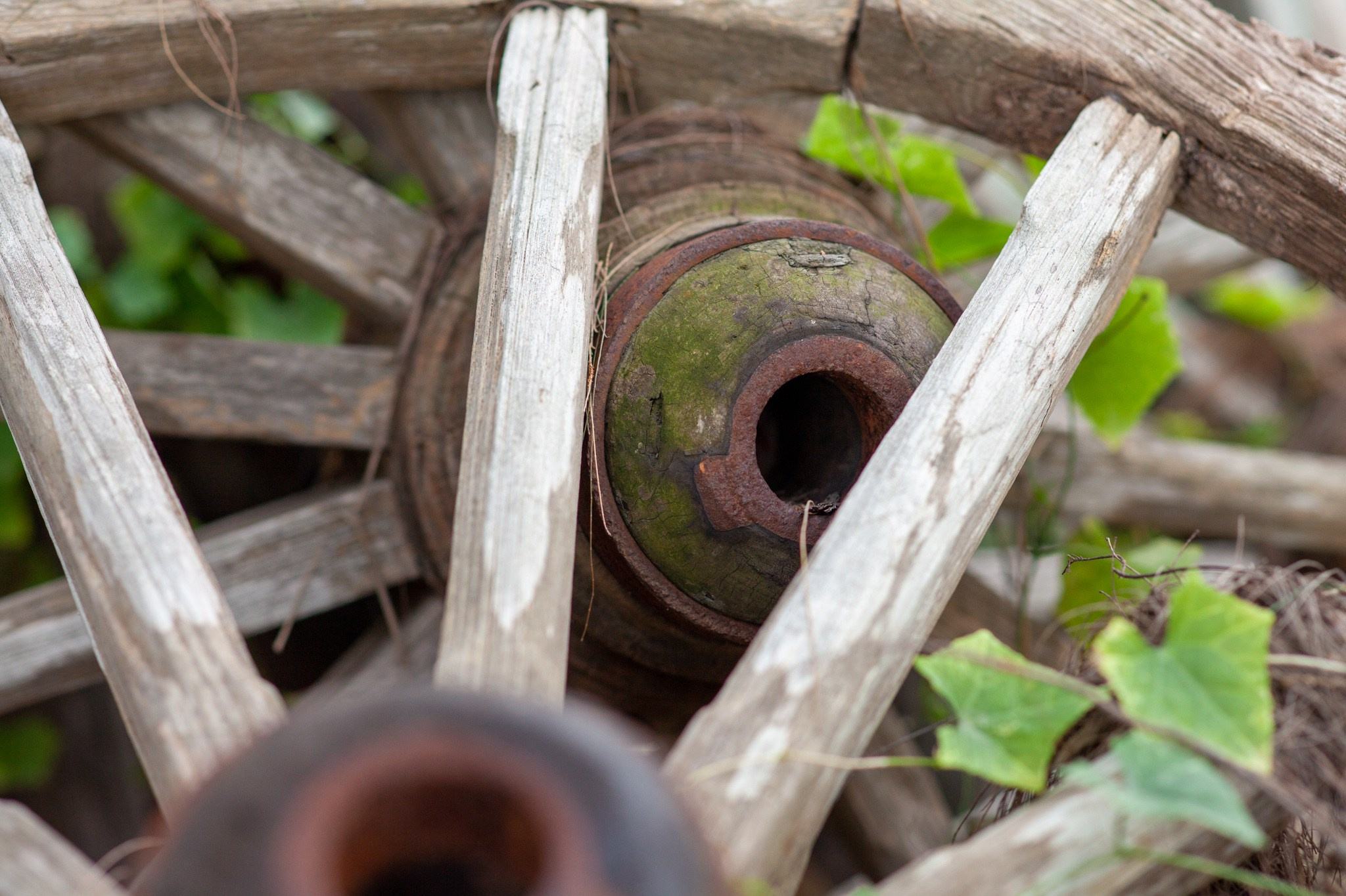 Находка в Таиланде, 2011. Фотограф Василий Буланов