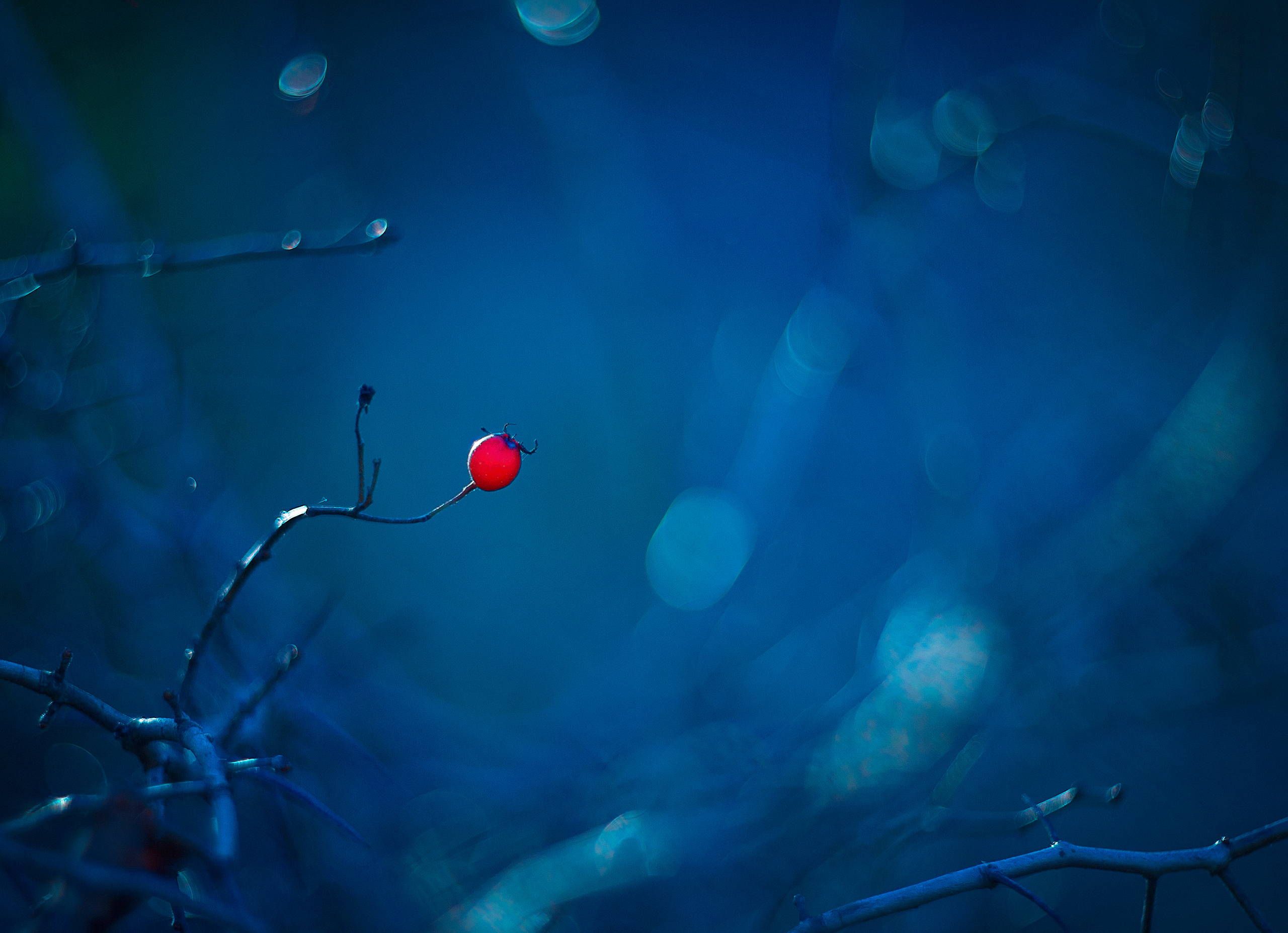 Разное. Главная