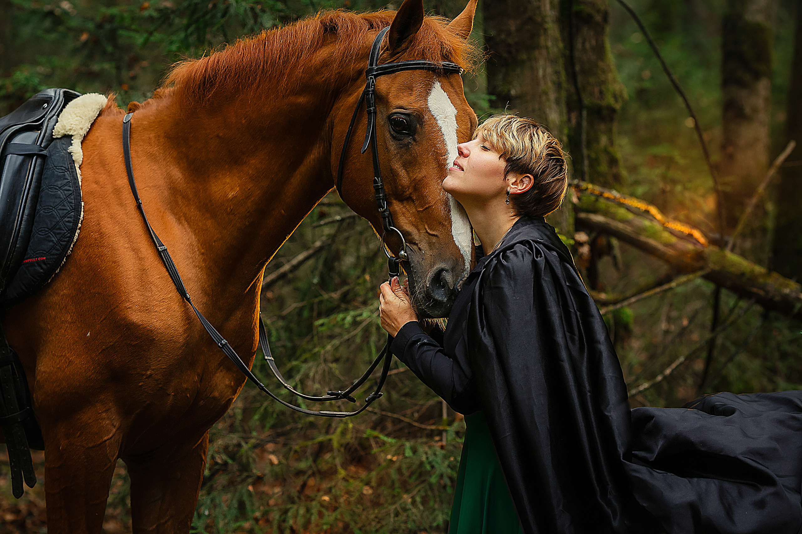 Портрет. Главная