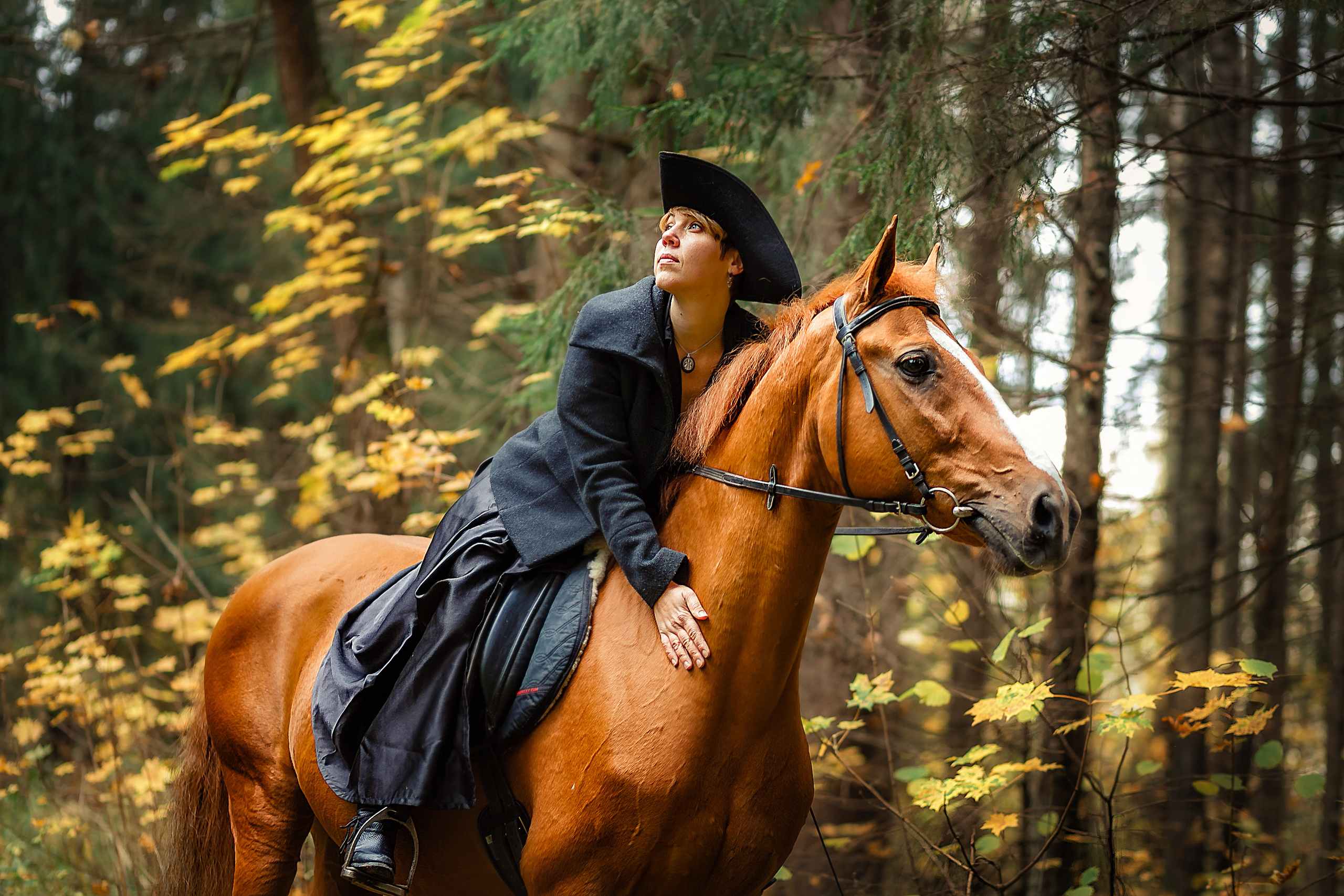 Портрет. Главная