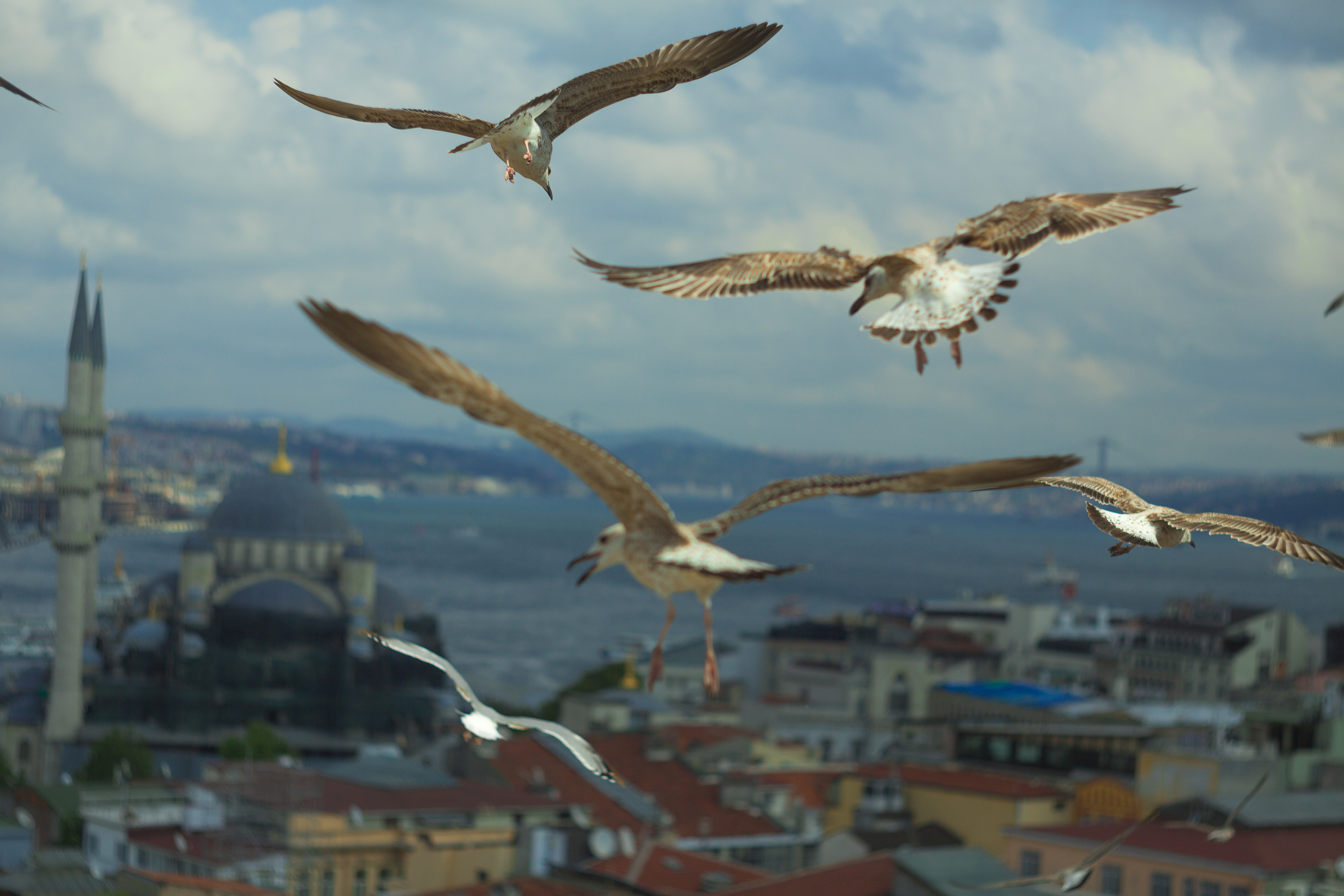 Разное. Главная