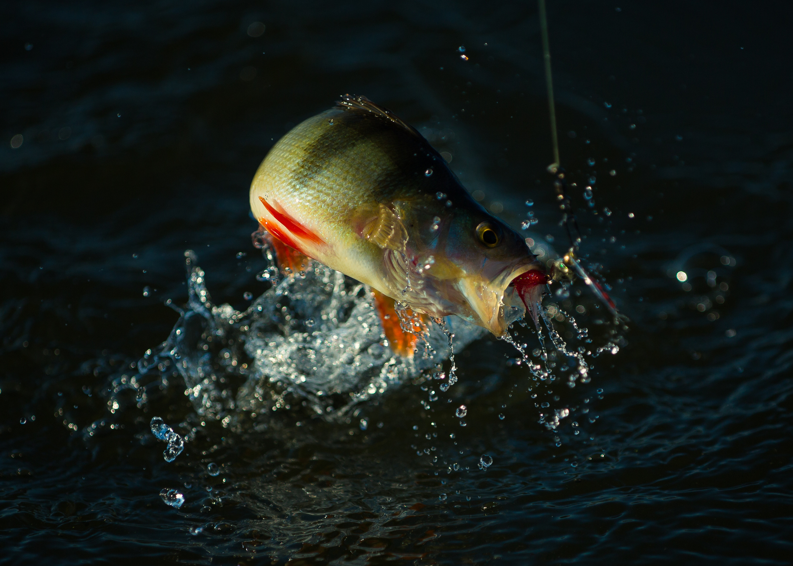 Разное. Главная