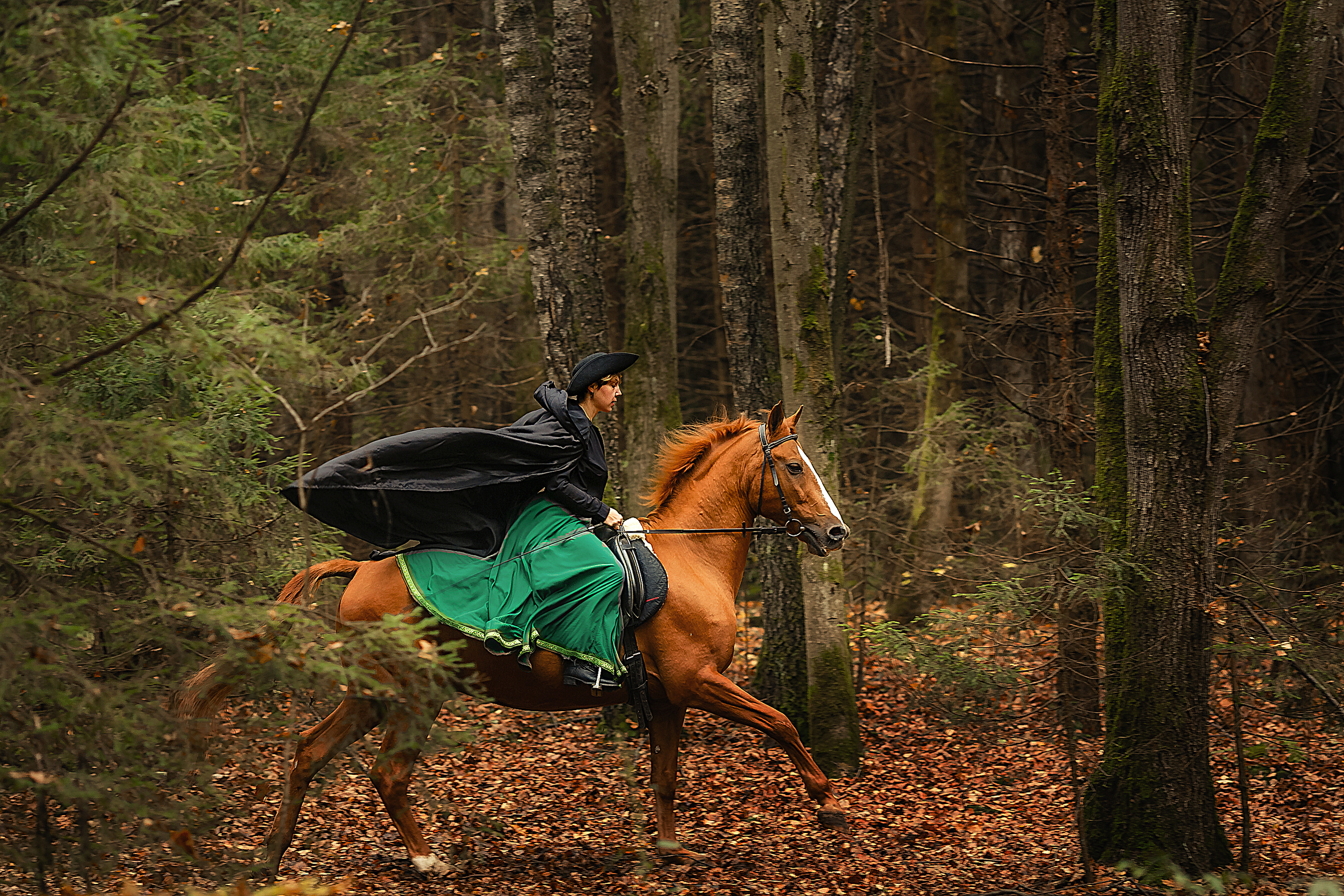 Разное. Главная