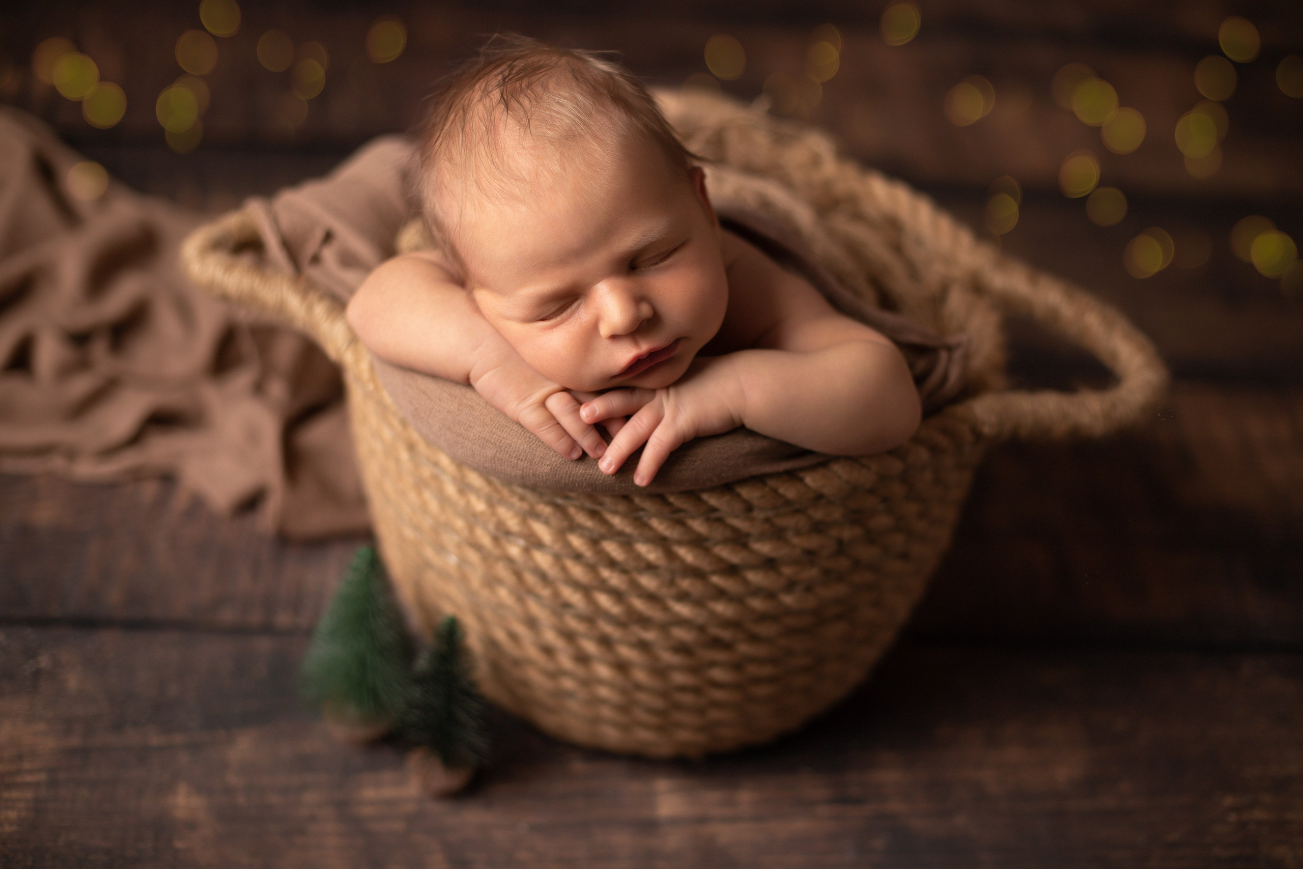 Новорожденные мальчики. Фотограф новорожденных в Нижнем Новгороде Белякова Оксана