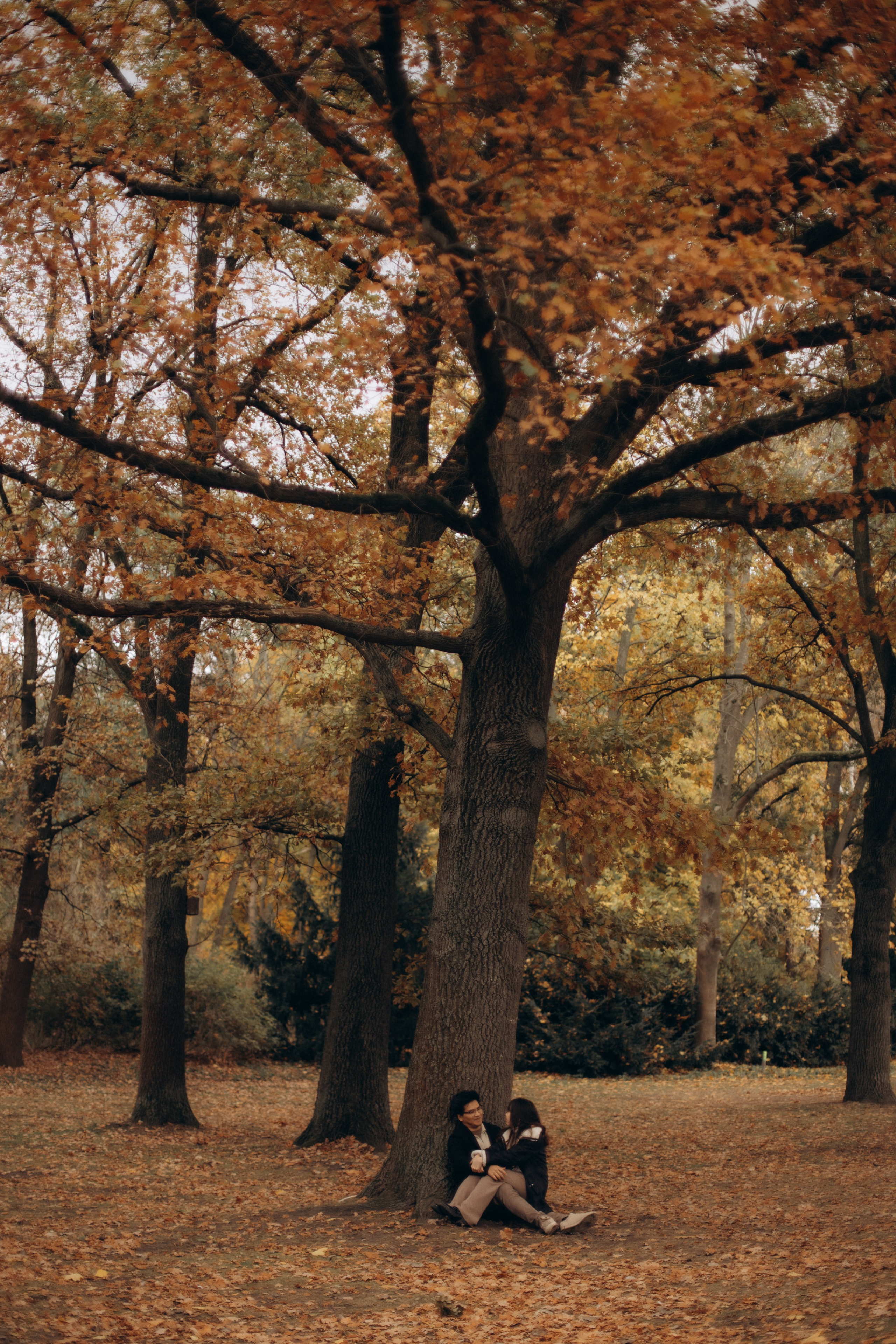 Love story in Tiergarten, Berlin. Hochzeitsfotograf in Potsdam — Alister Licht