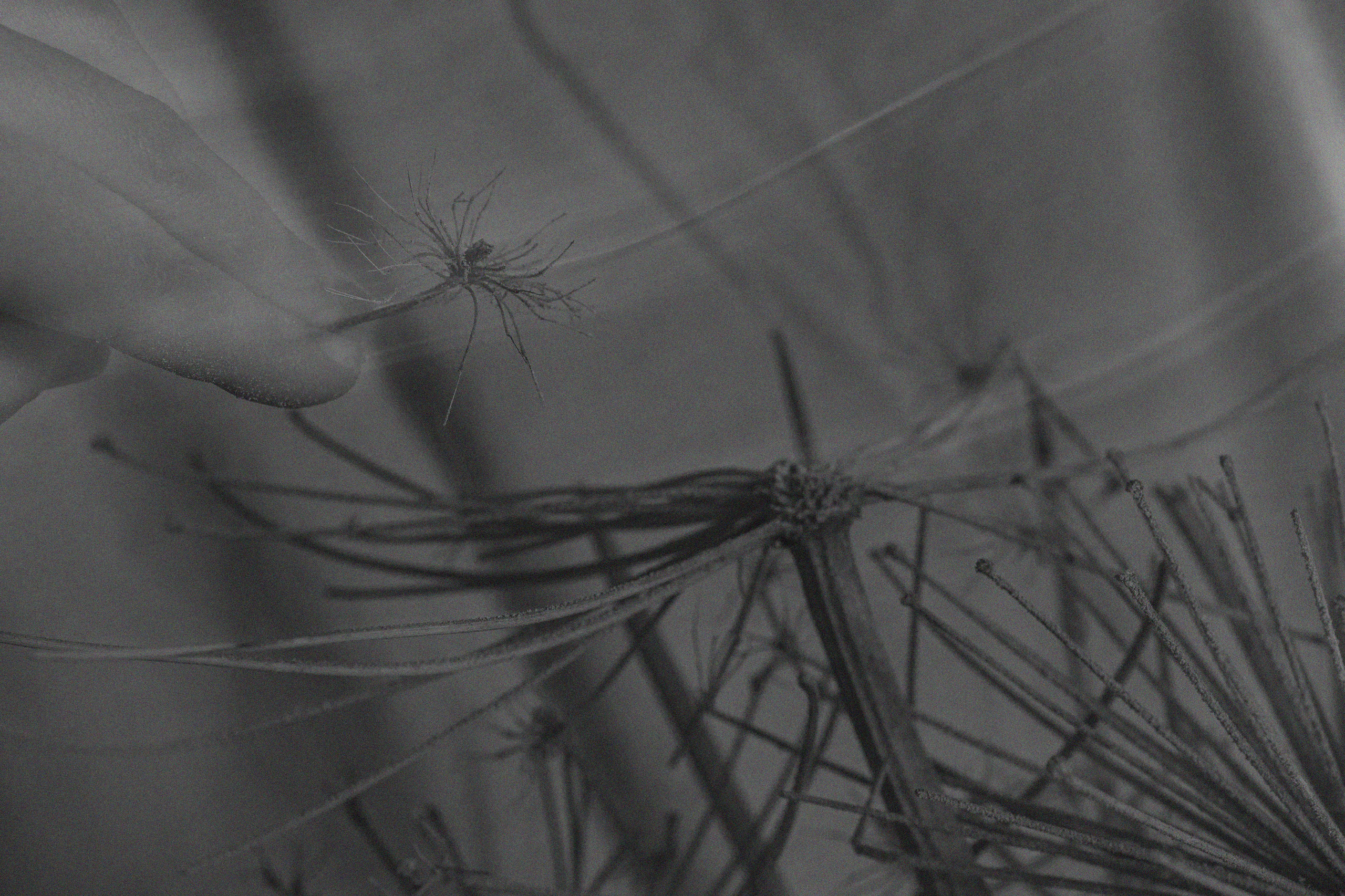 Портфолио. Виноградова Маргарита. Фотограф P r o Явления