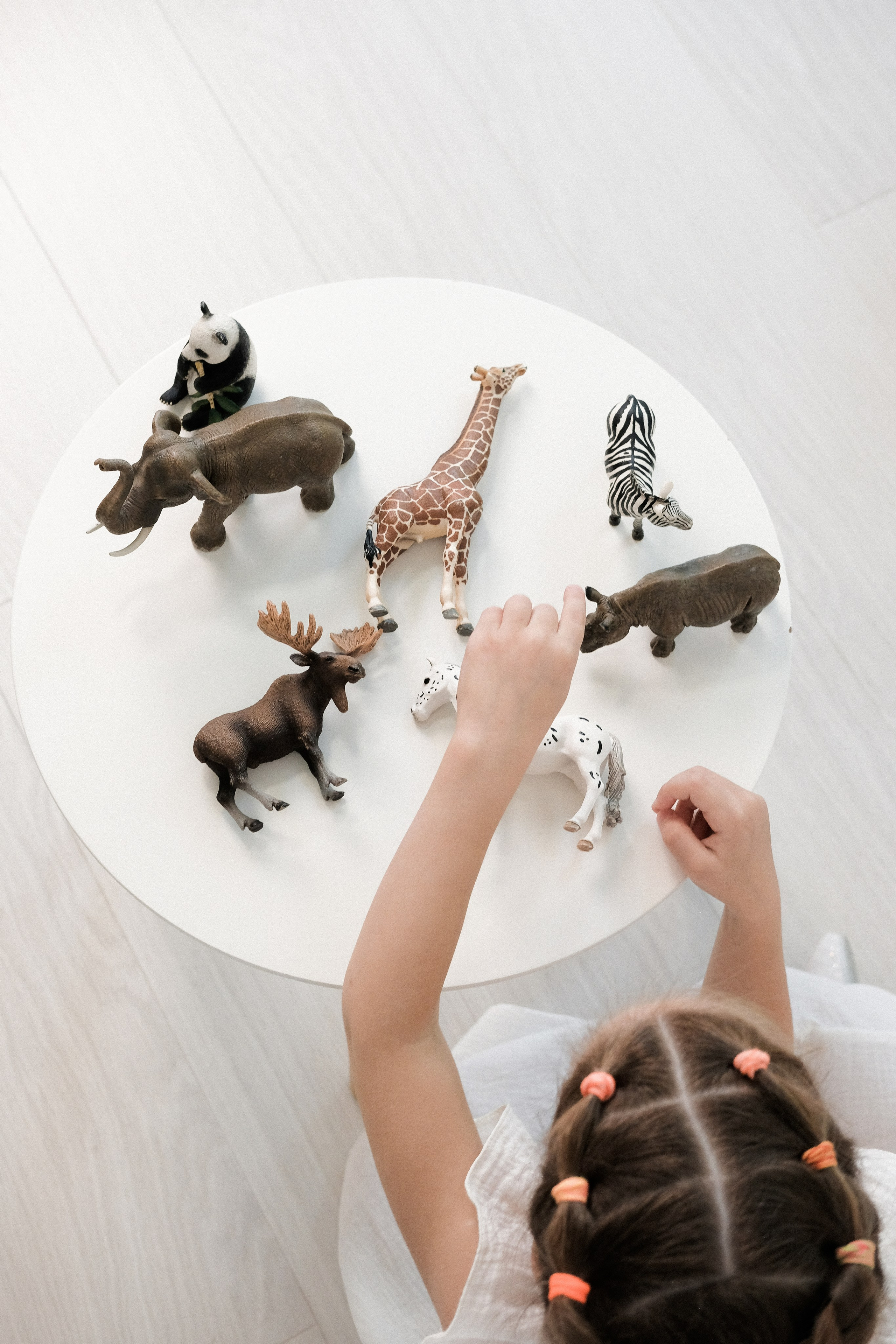 Нейропсихолог. Фотограф в Новосибирске Анна Захарова