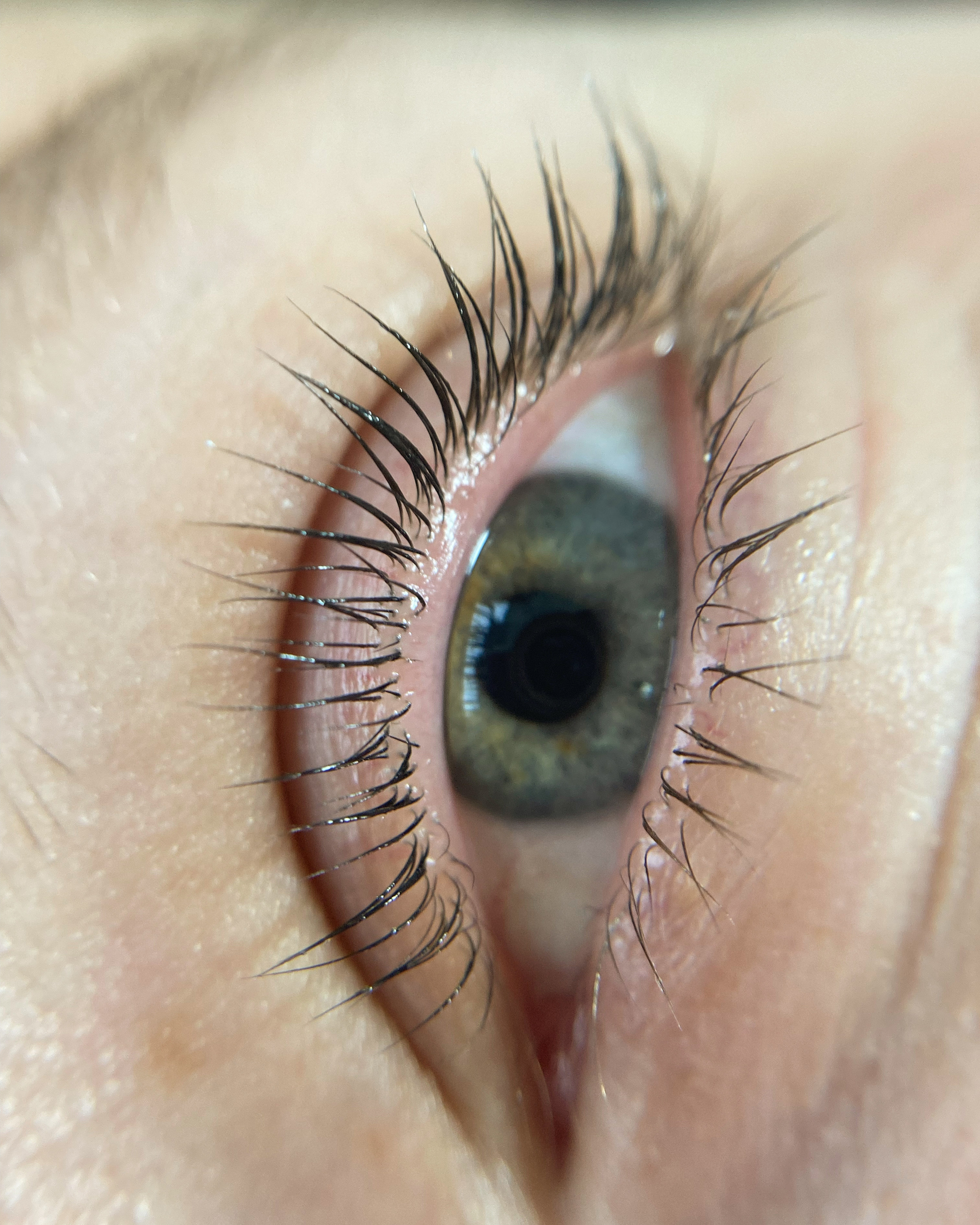 Ресницы после процедуры ламинирования: невероятный результат