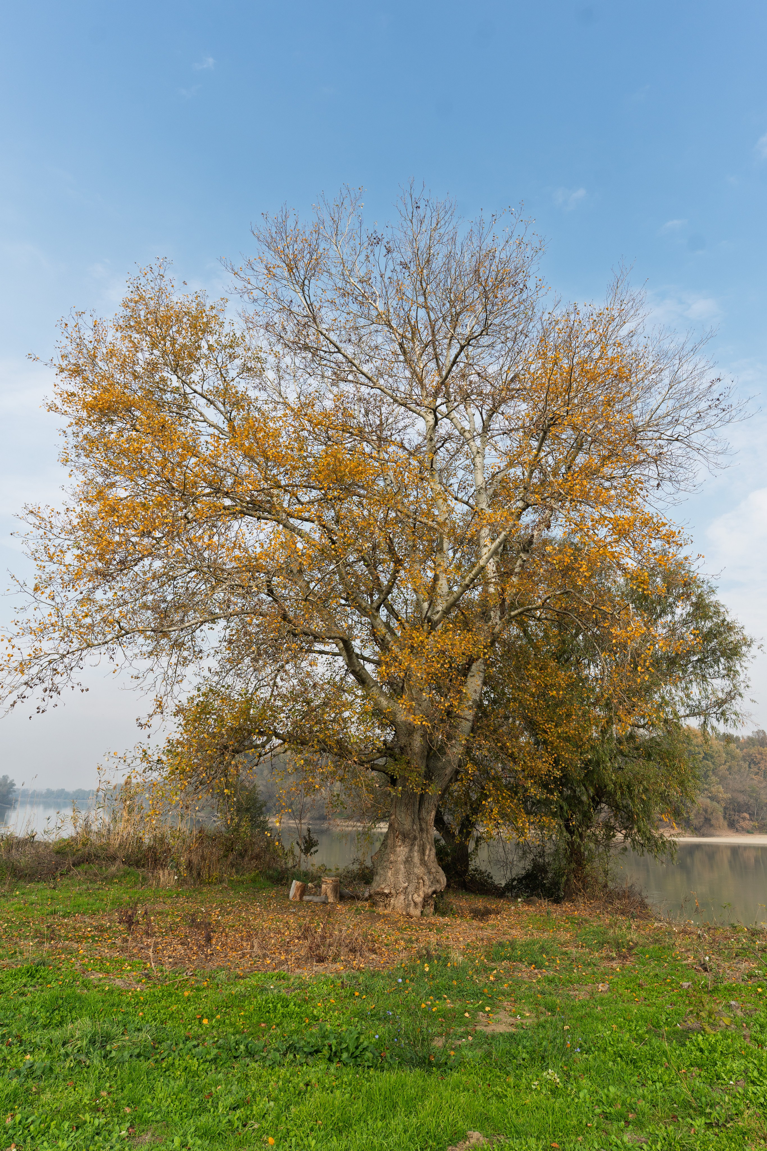 Адыгея, р.Кубань. 35 мм