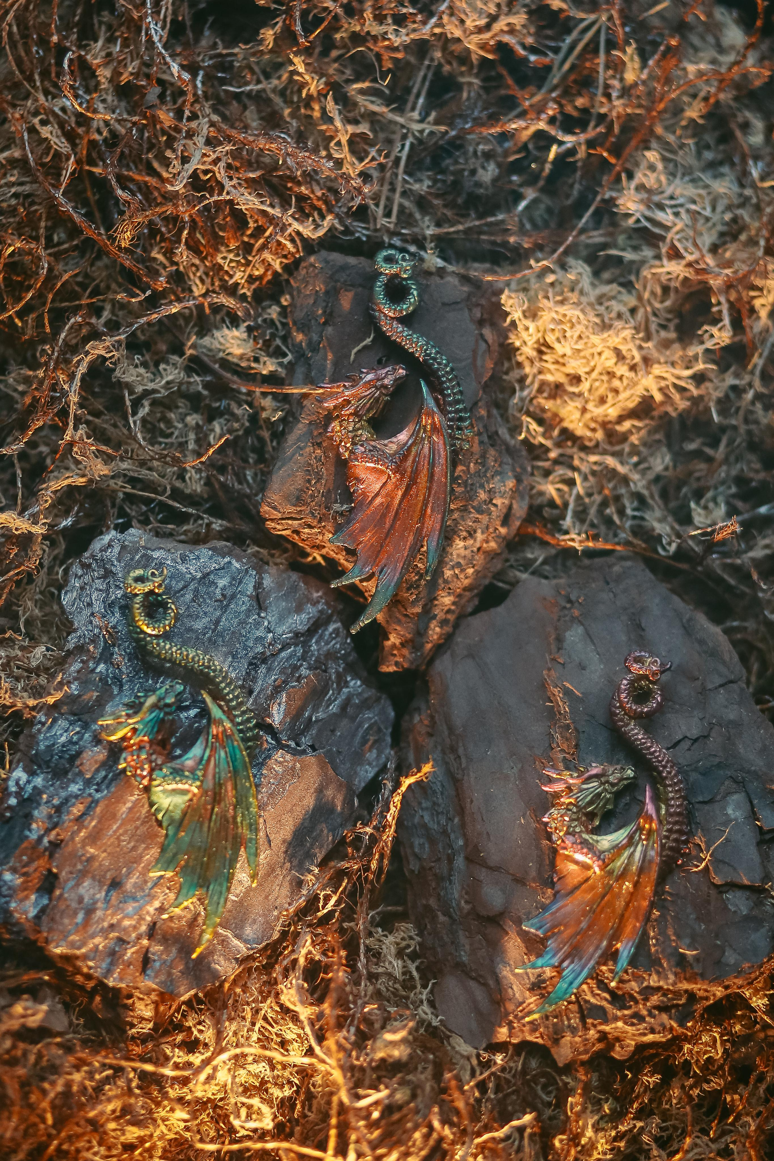 Драконы. Антонина Морозова, профессиональный семейный фотограф видеограф