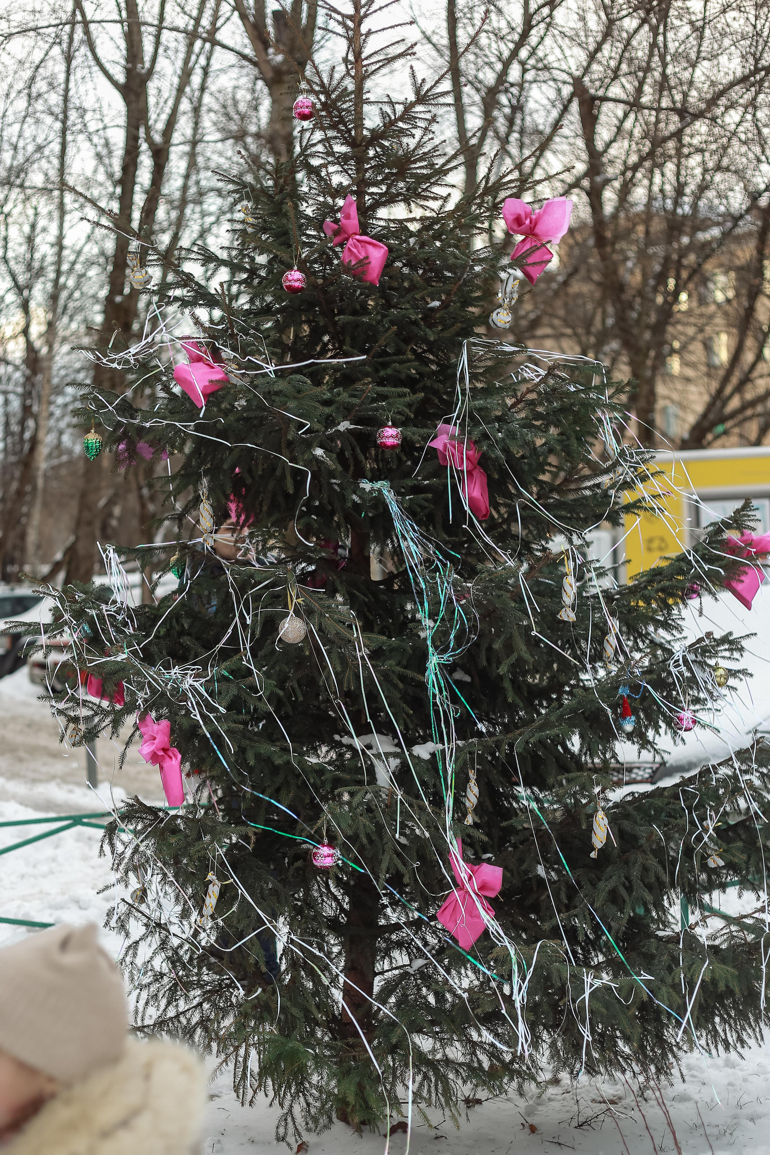 А у нас во дворе. Антонина Морозова, профессиональный семейный фотограф видеограф
