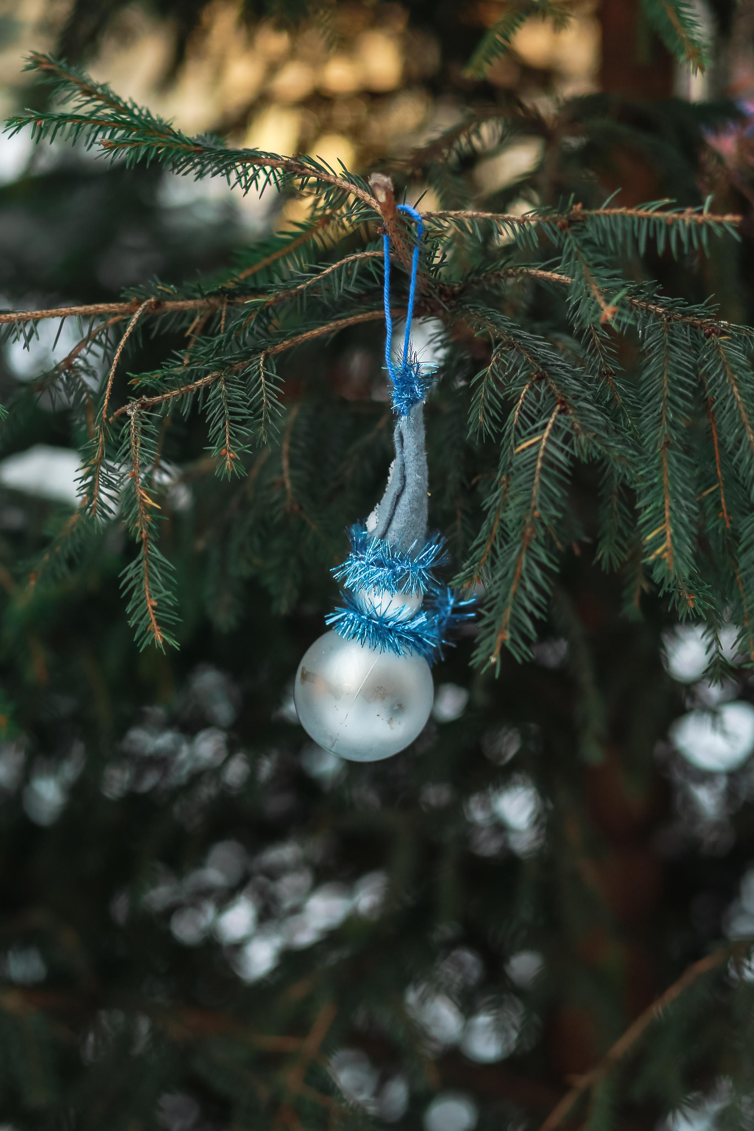 А у нас во дворе. Антонина Морозова, профессиональный семейный фотограф видеограф