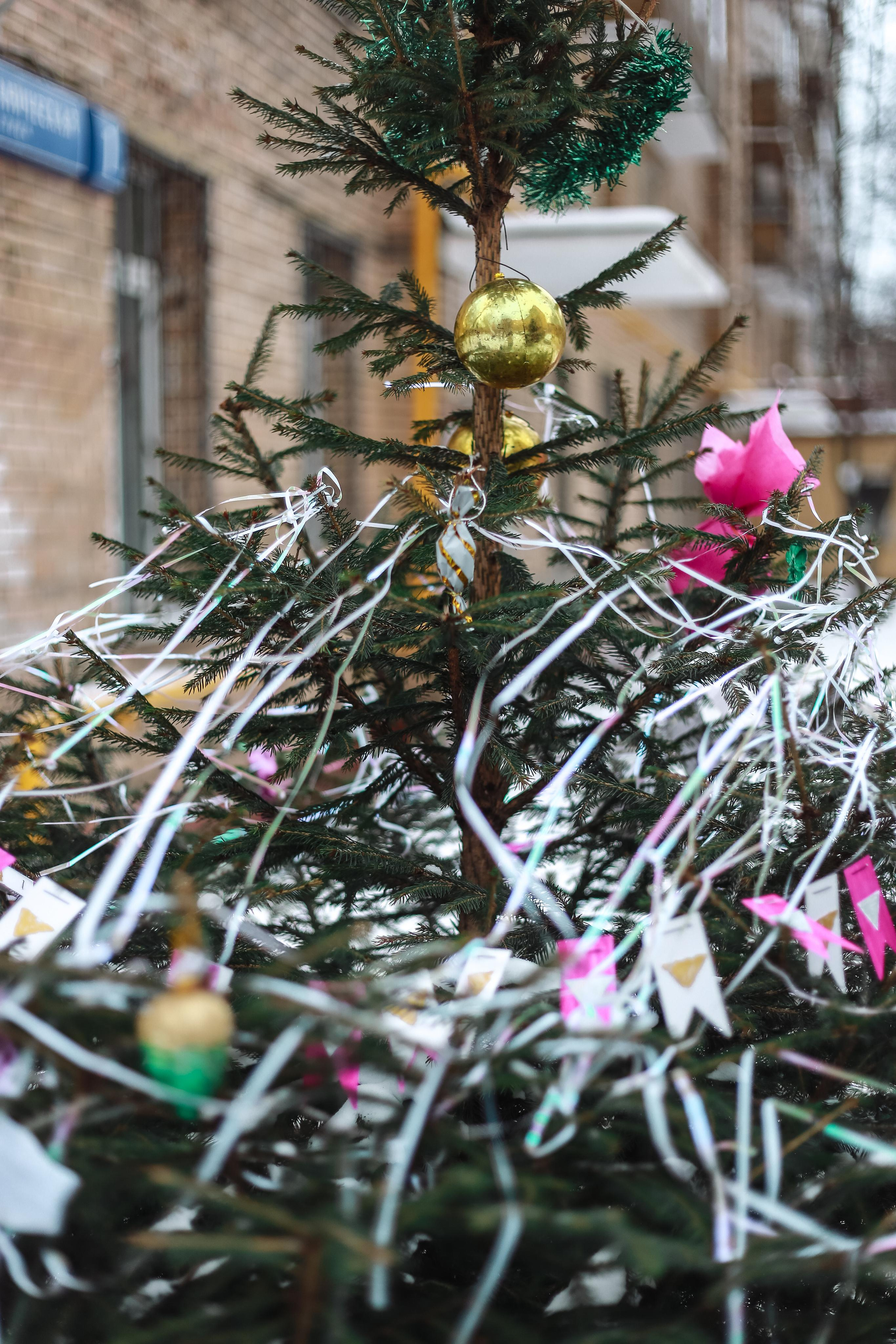 А у нас во дворе. Антонина Морозова, профессиональный семейный фотограф видеограф