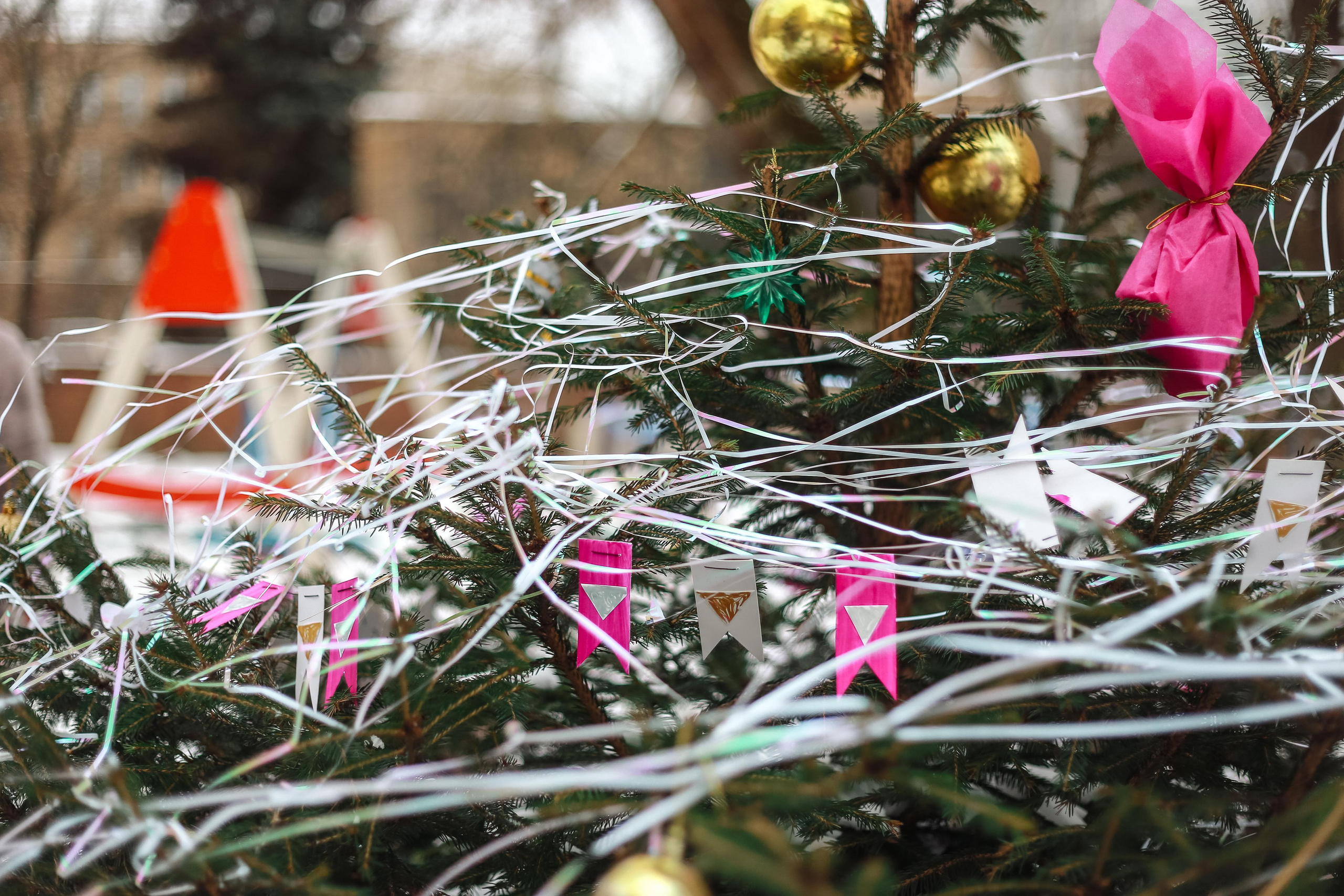 А у нас во дворе. Антонина Морозова, профессиональный семейный фотограф видеограф
