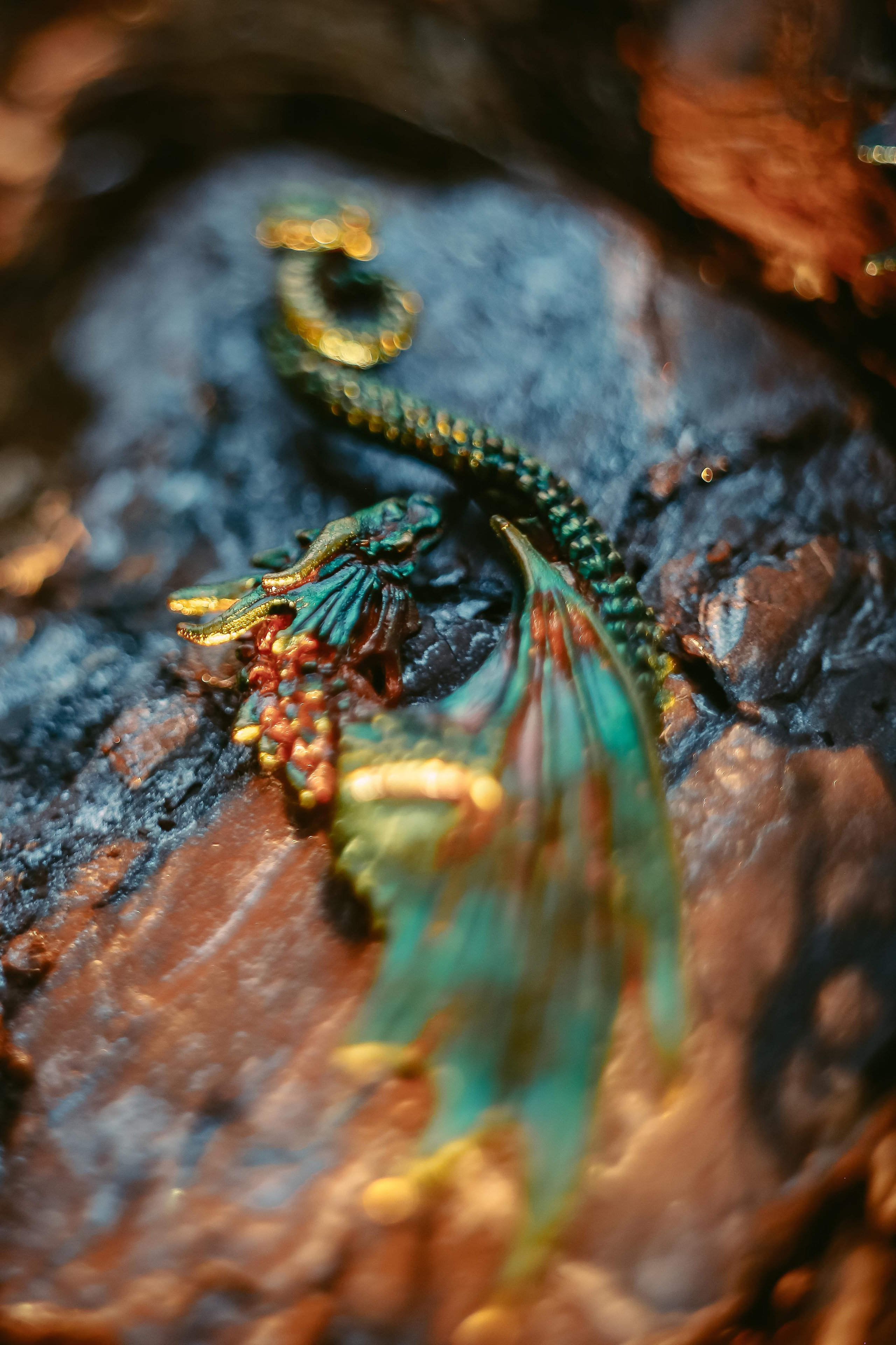 Драконы. Антонина Морозова, профессиональный семейный фотограф видеограф